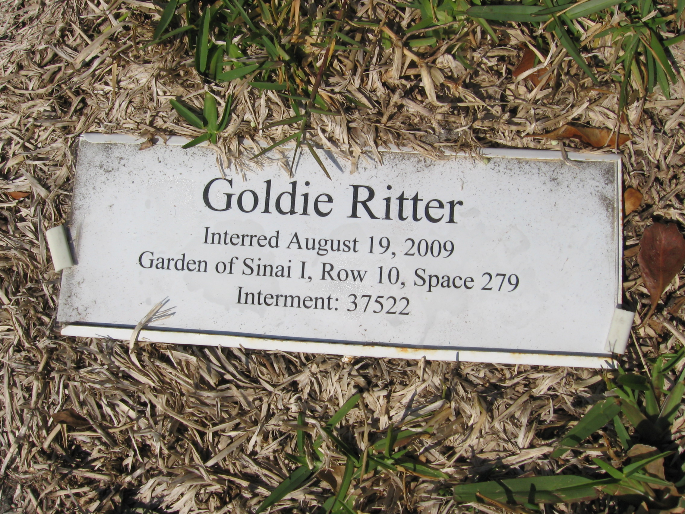 Goldie Ritter