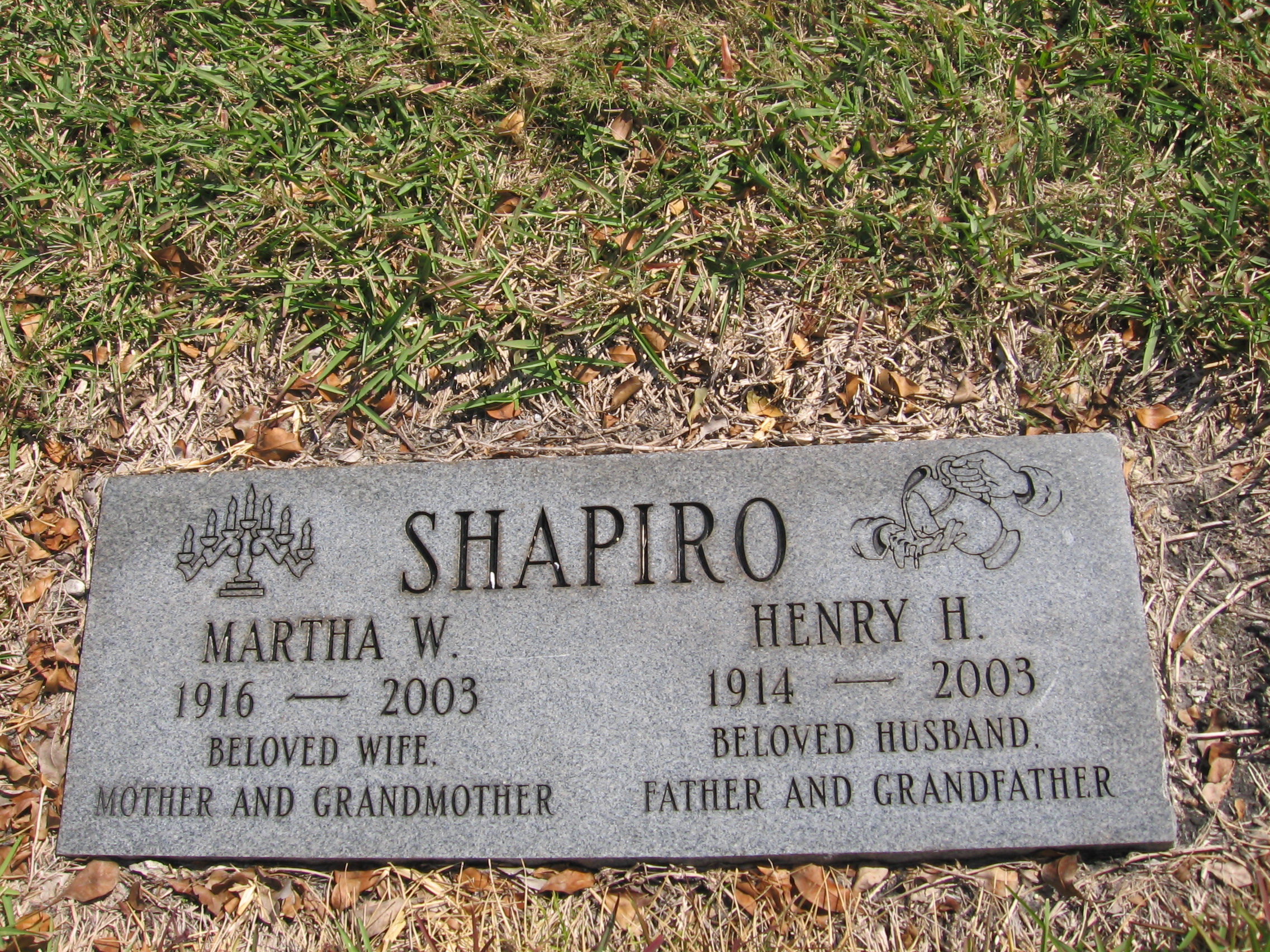 Martha W Shapiro