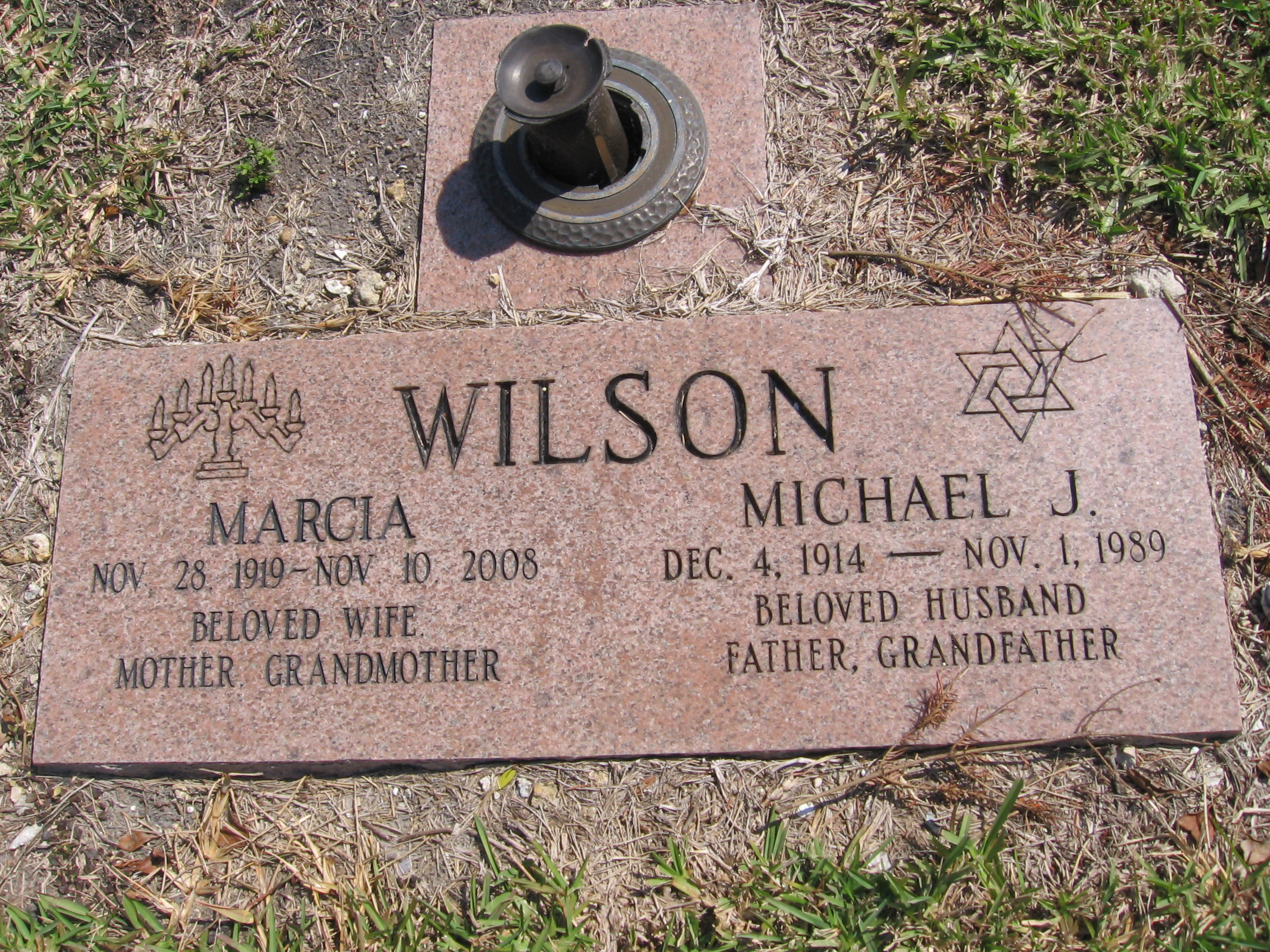 Michael J Wilson