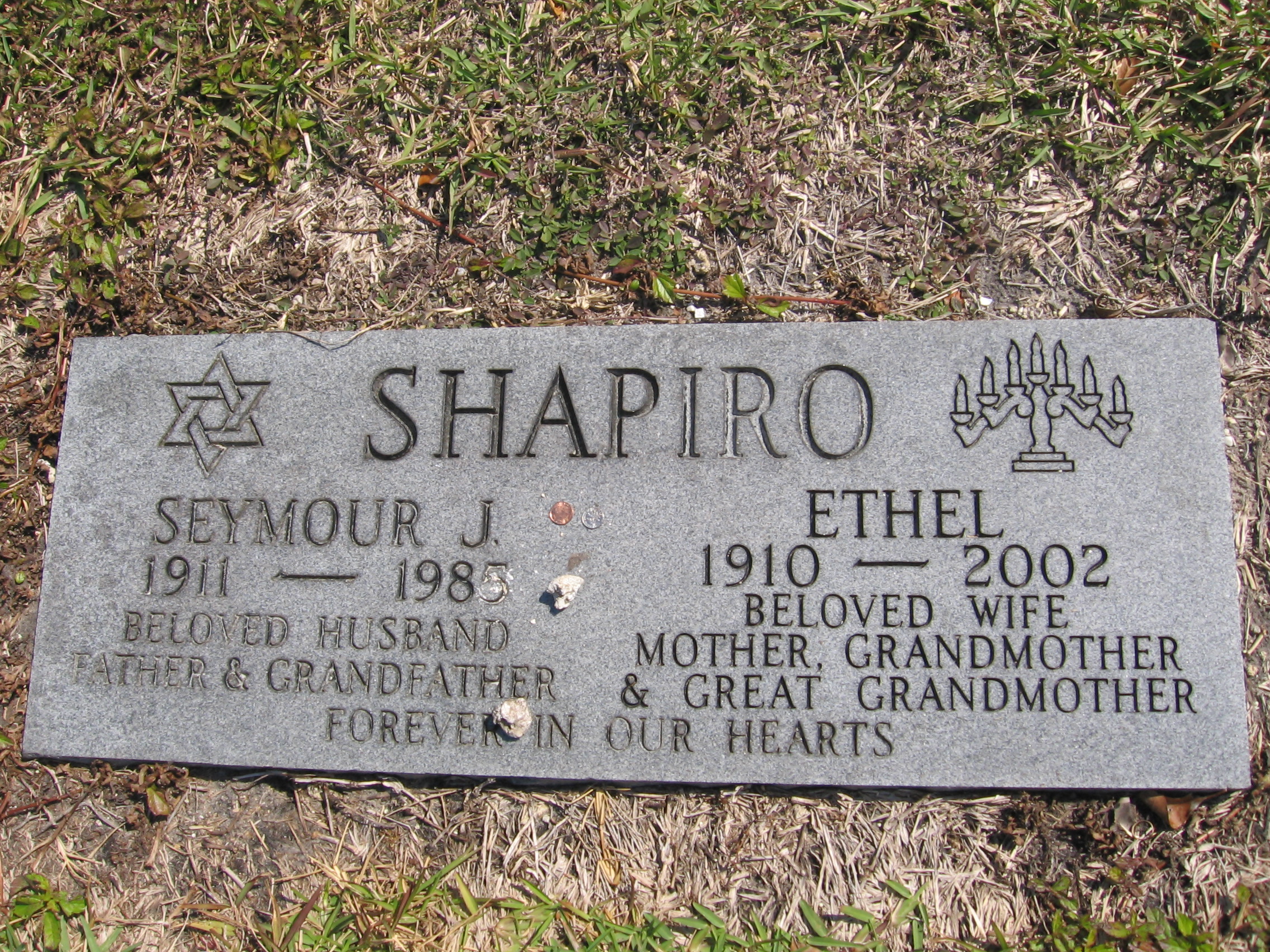 Ethel Shapiro