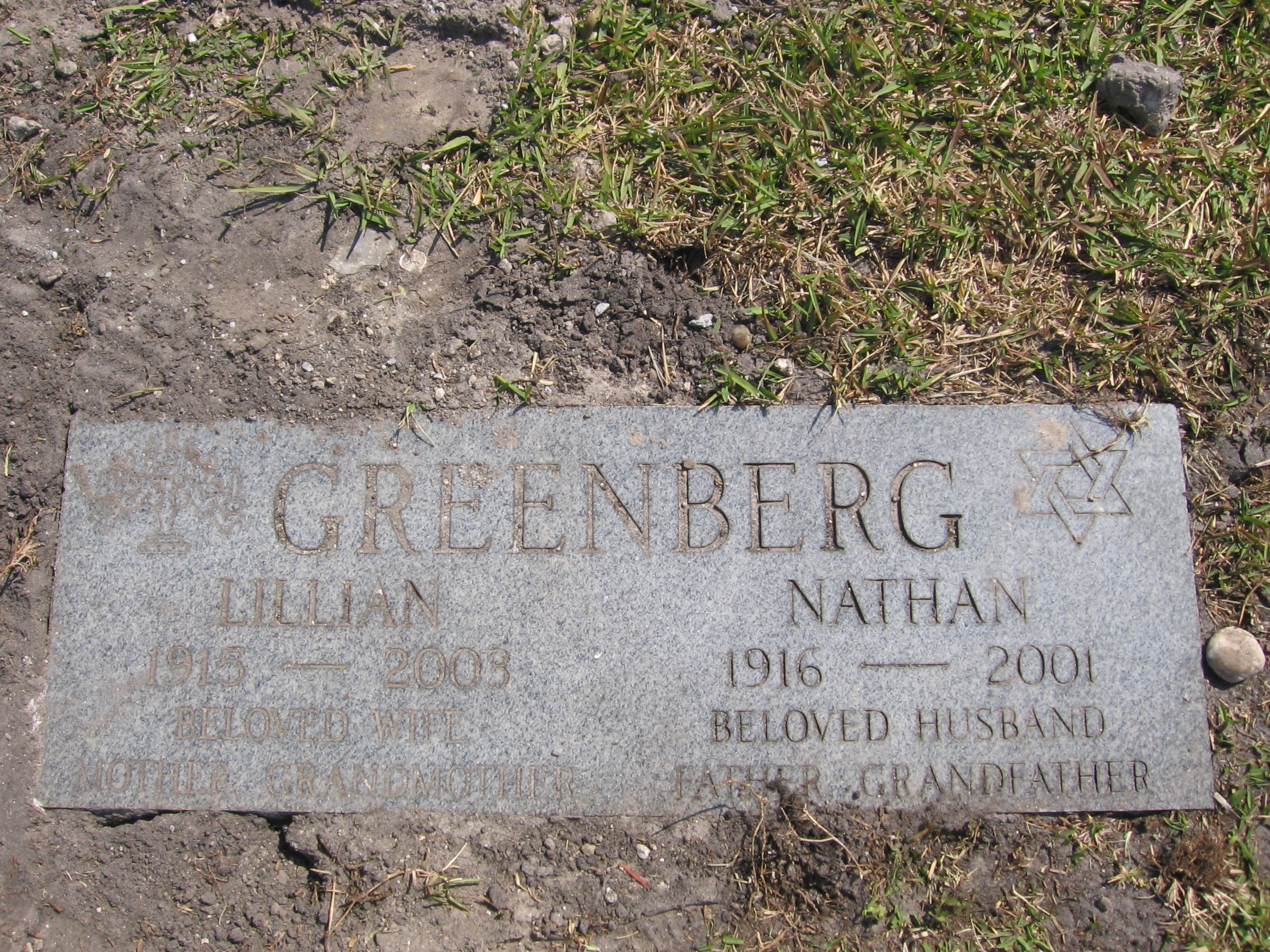 Nathan Greenberg