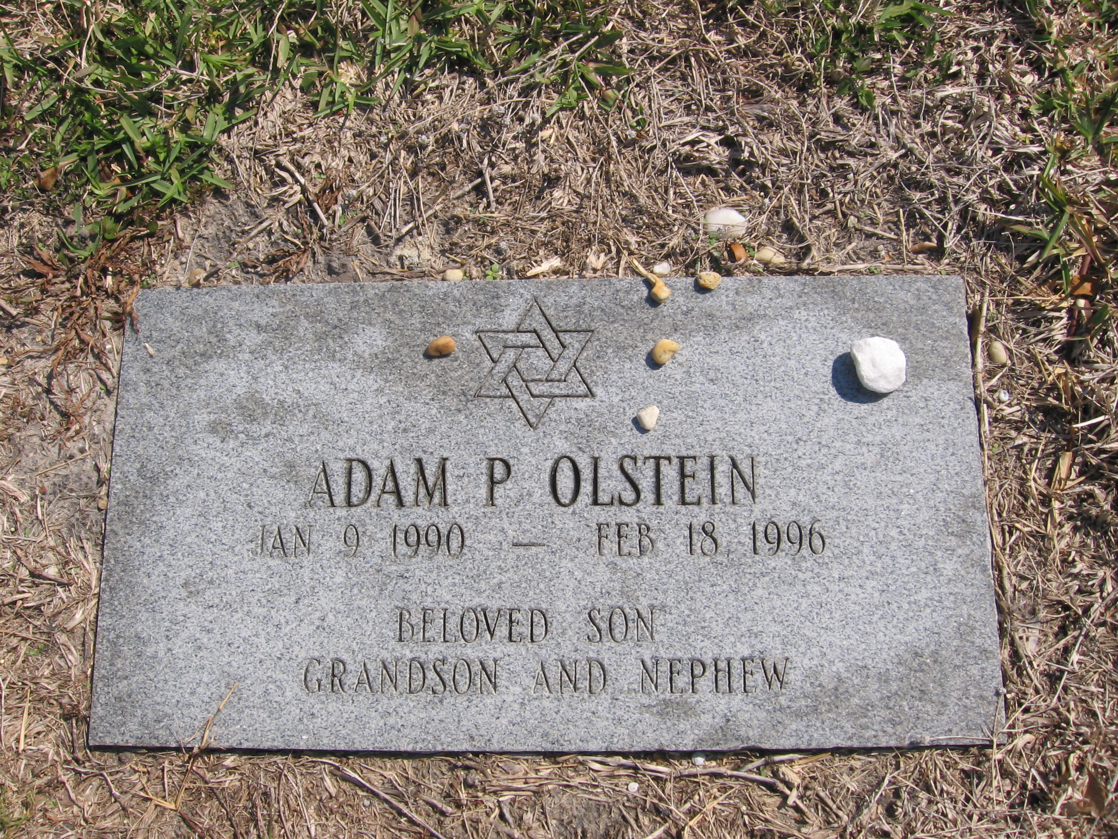 Adam P Olstein