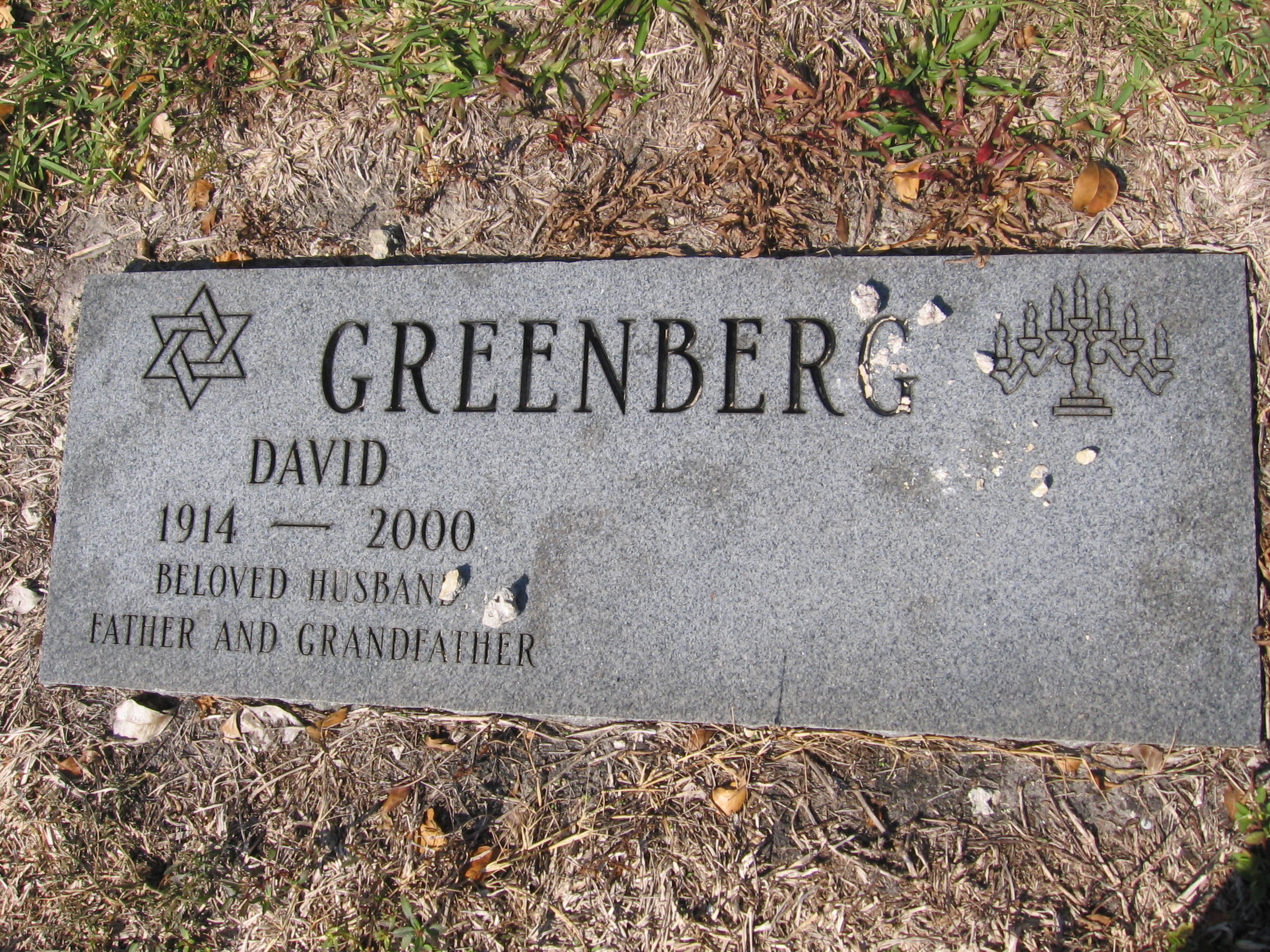 David Greenberg