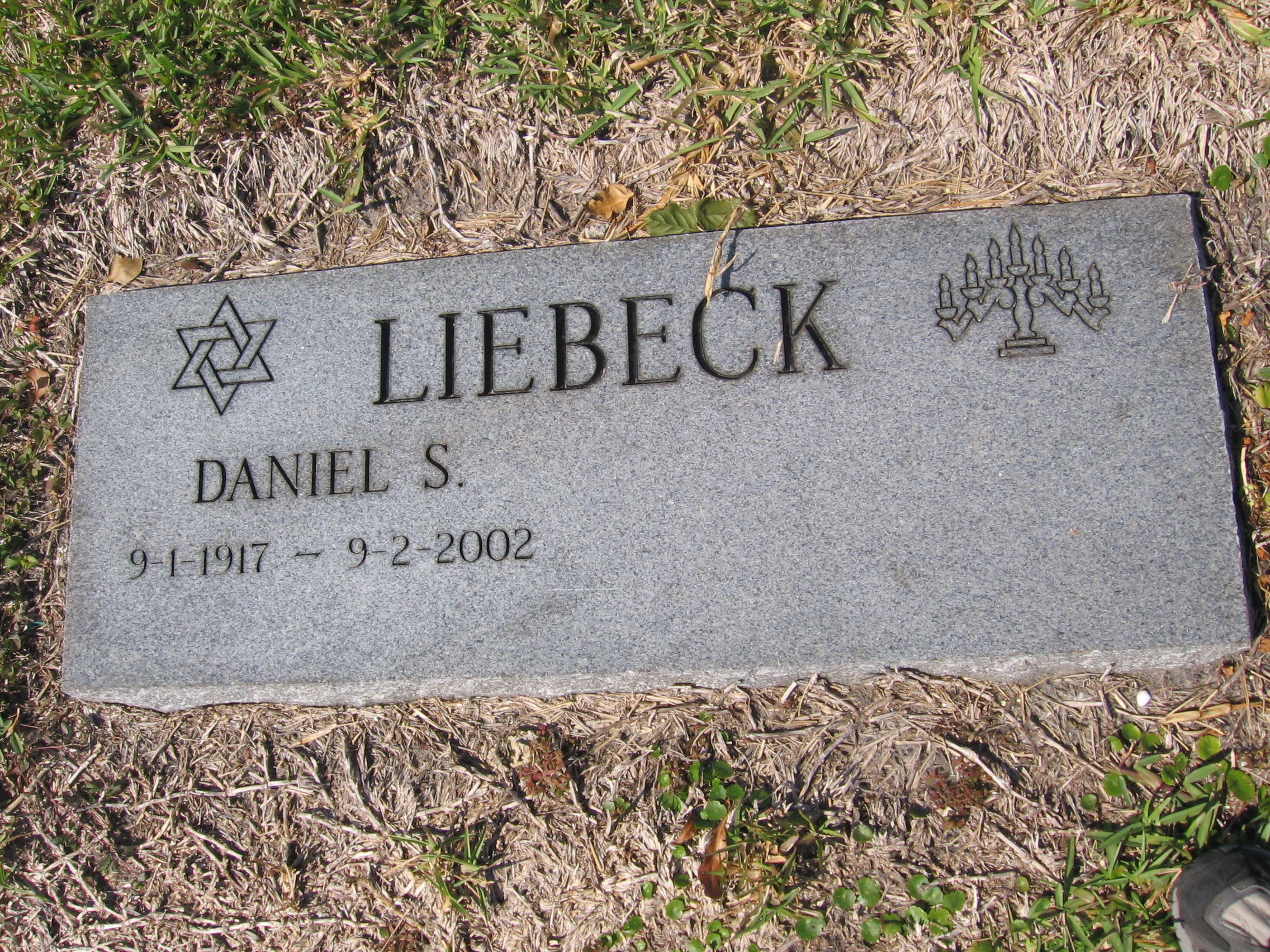 Daniel S Liebeck