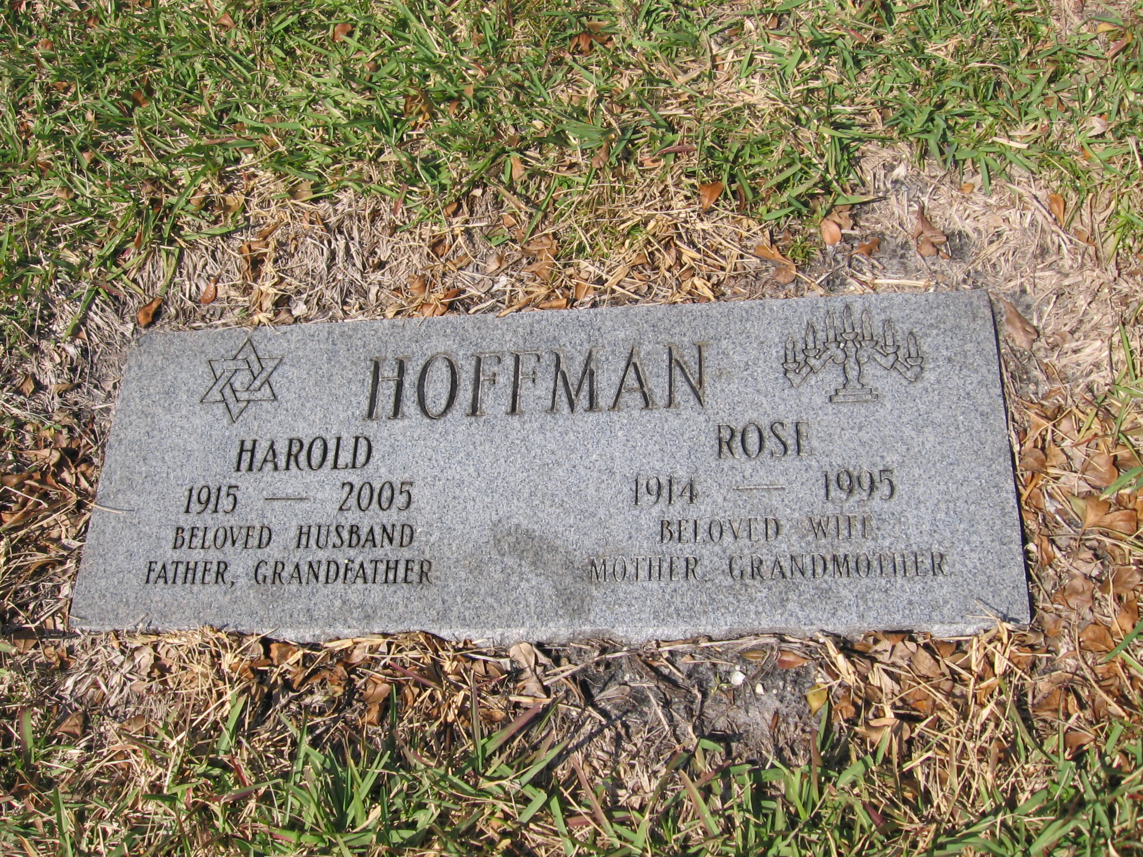 Rose Hoffman