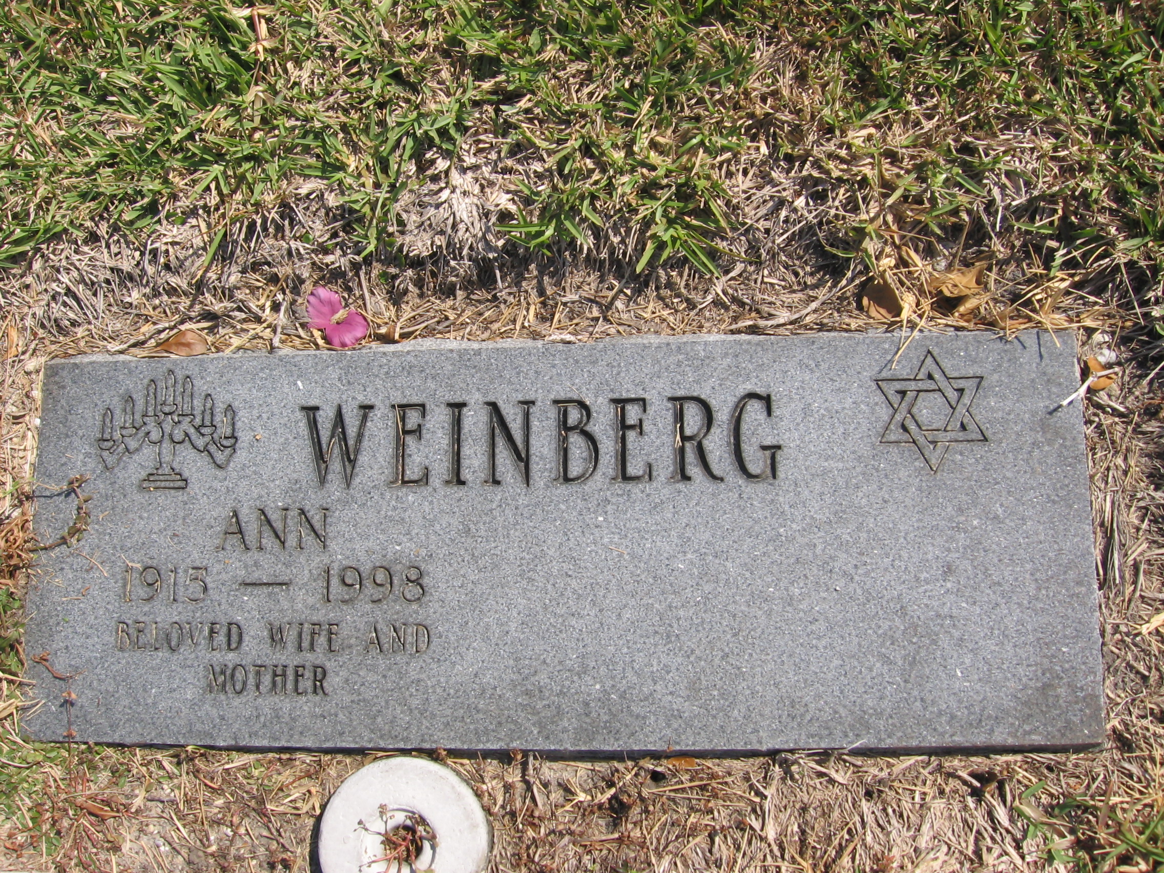 Ann Weinberg