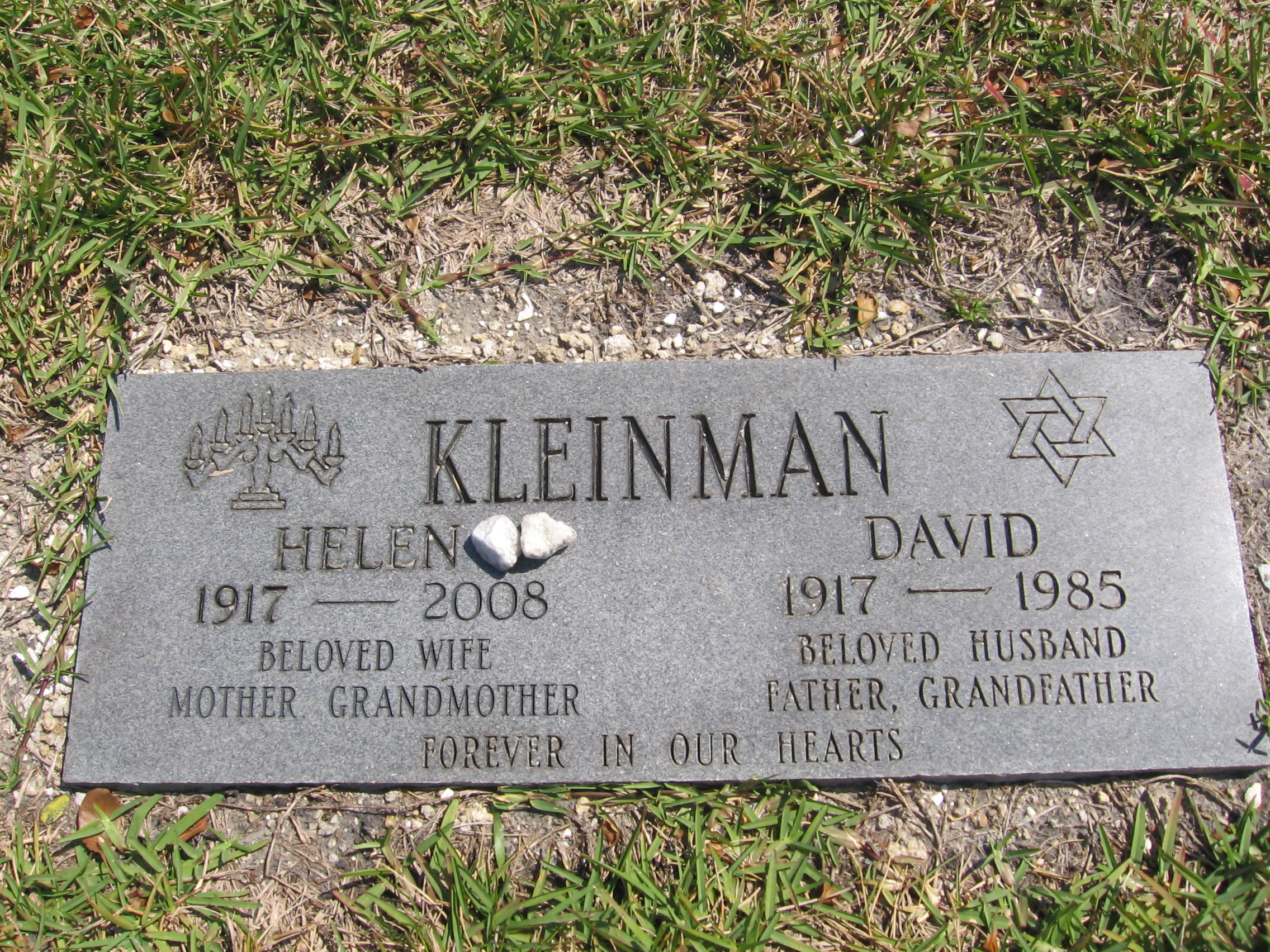 David Kleinman