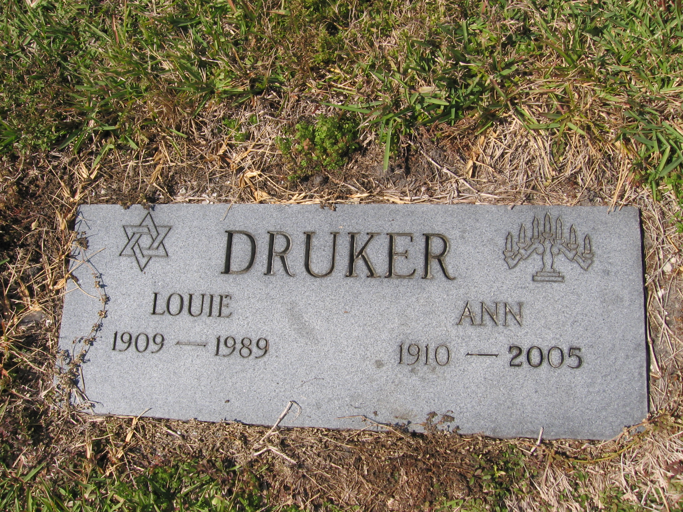 Ann Druker