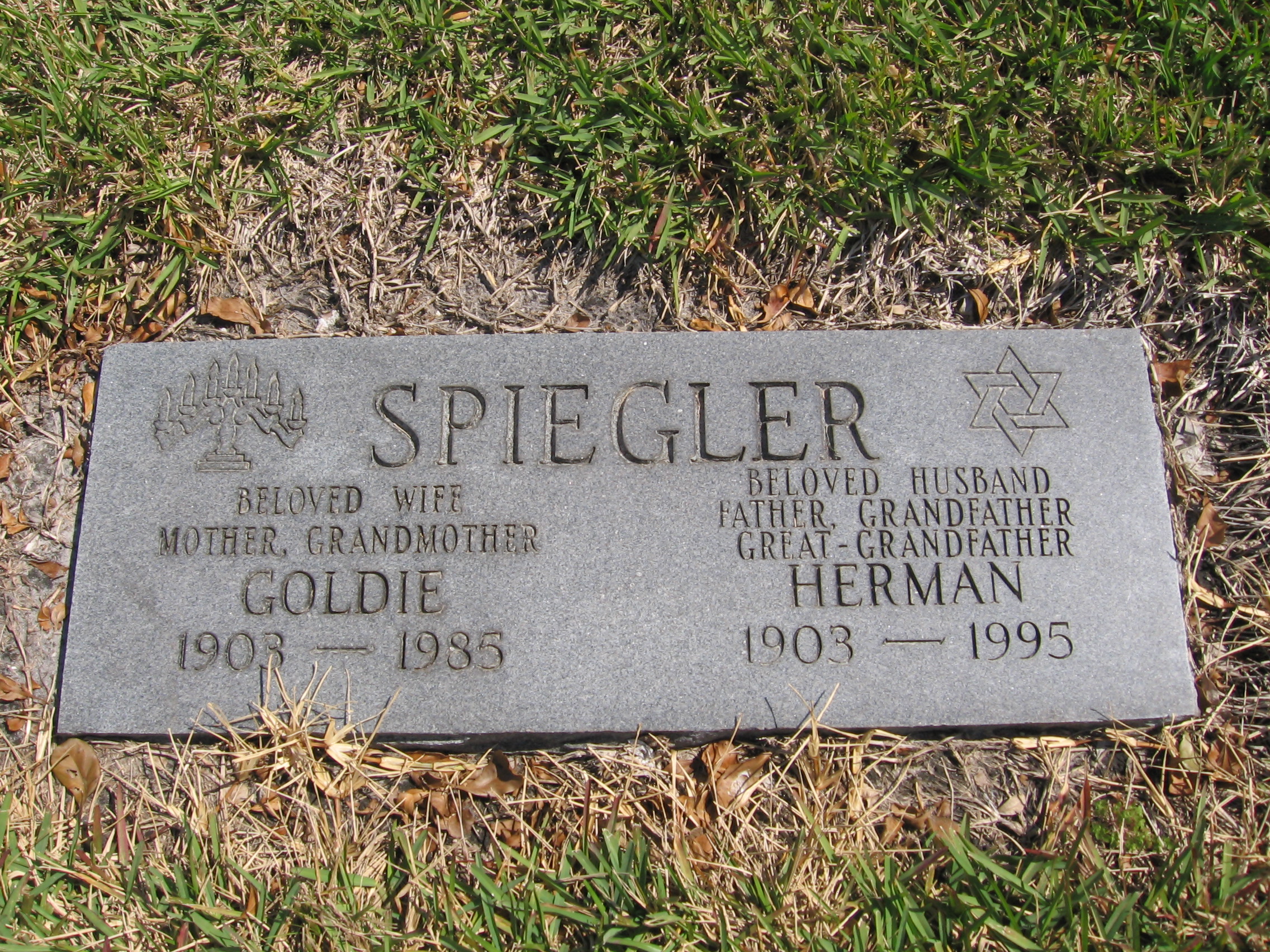 Herman Spiegler