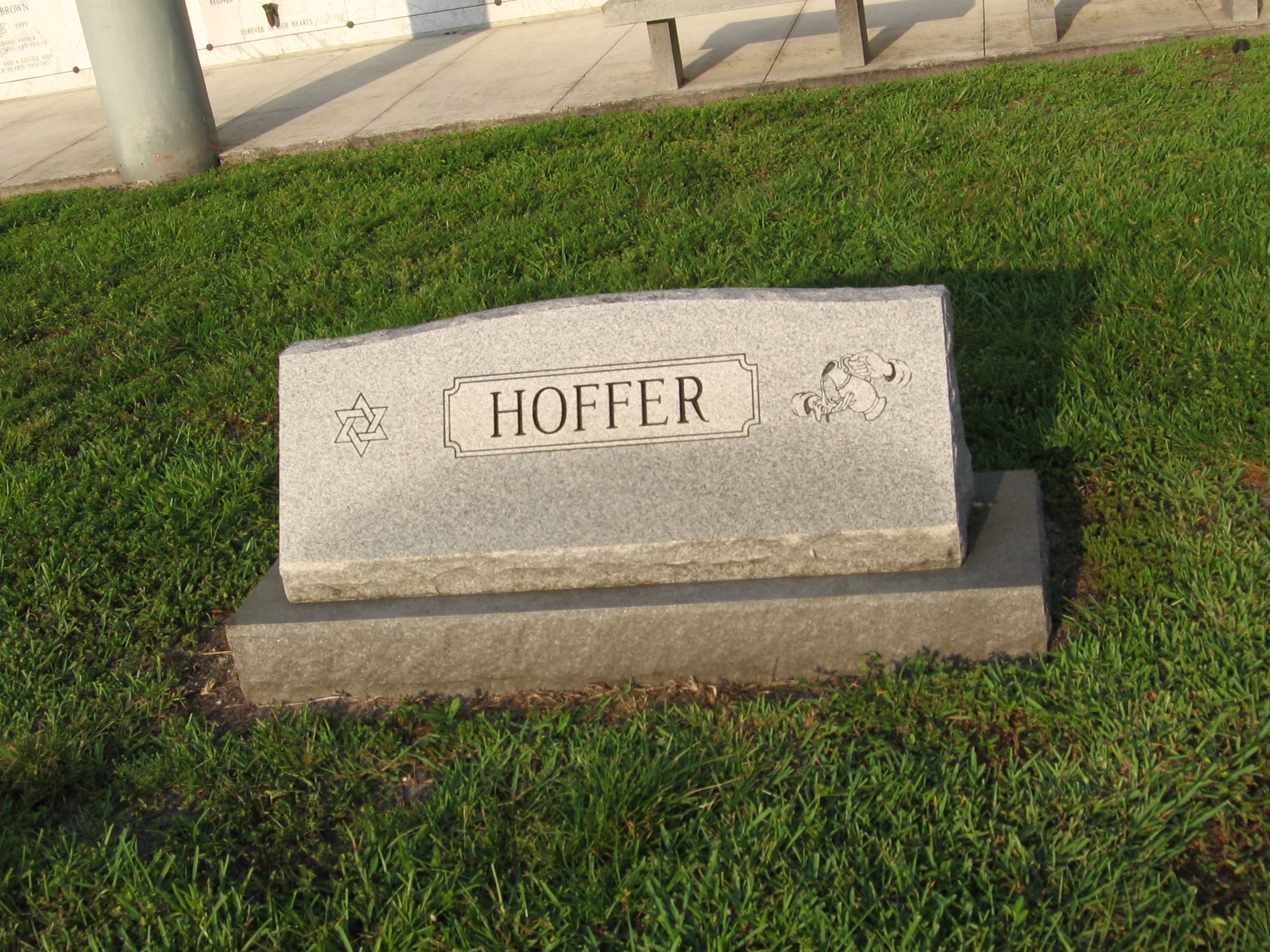 Joel M Hoffer