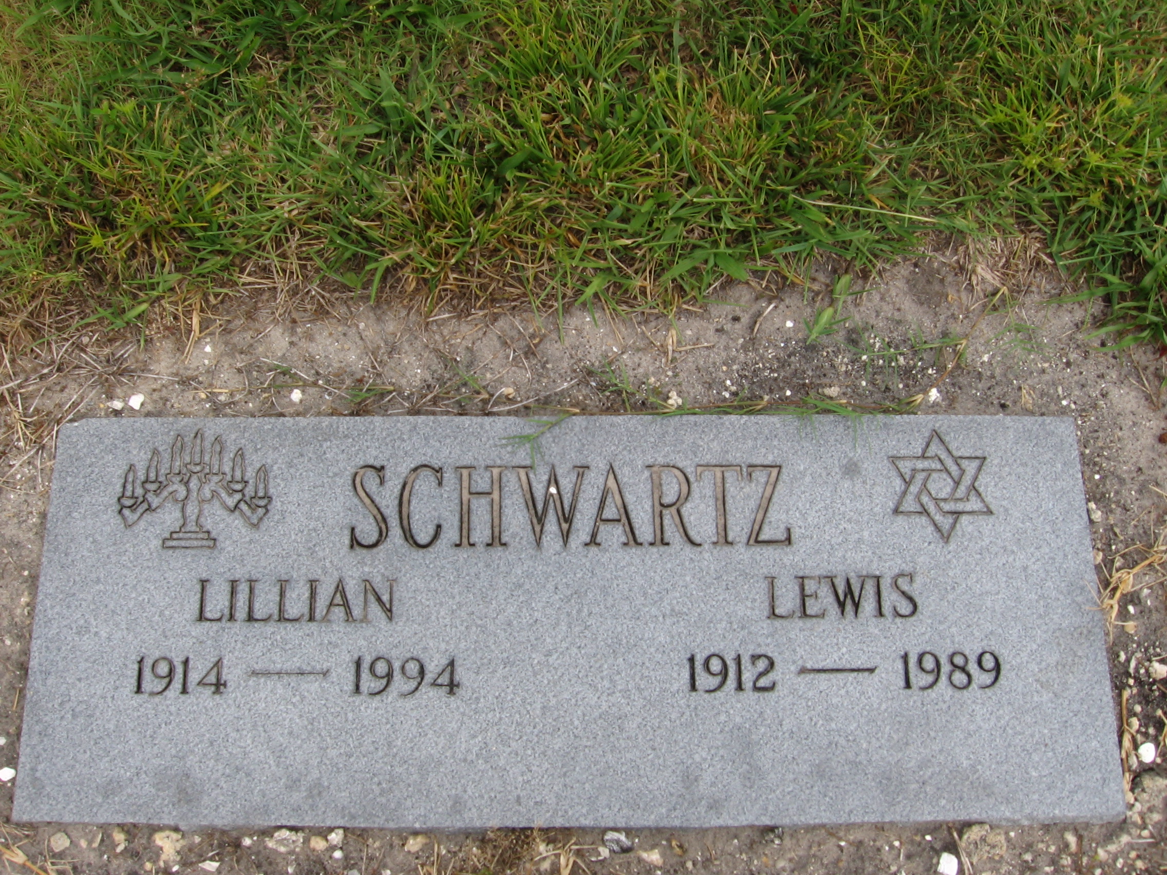 Lewis Schwartz