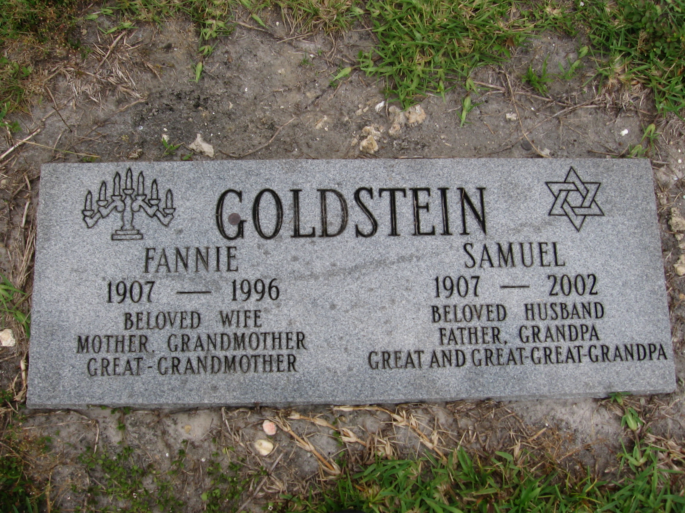 Fannie Goldstein