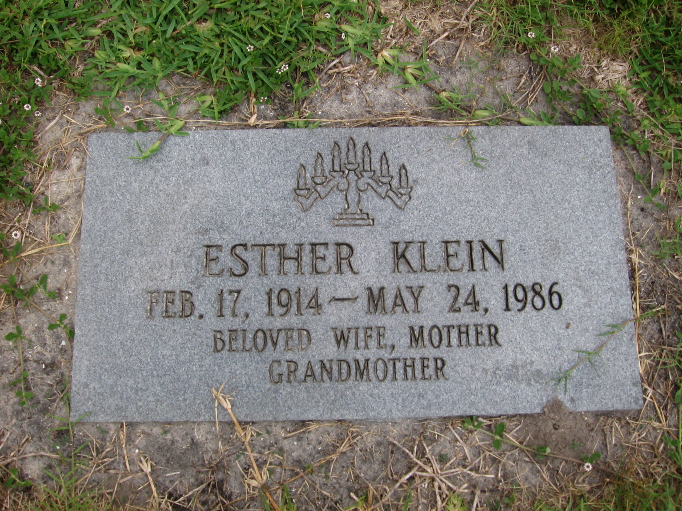 Esther Klein