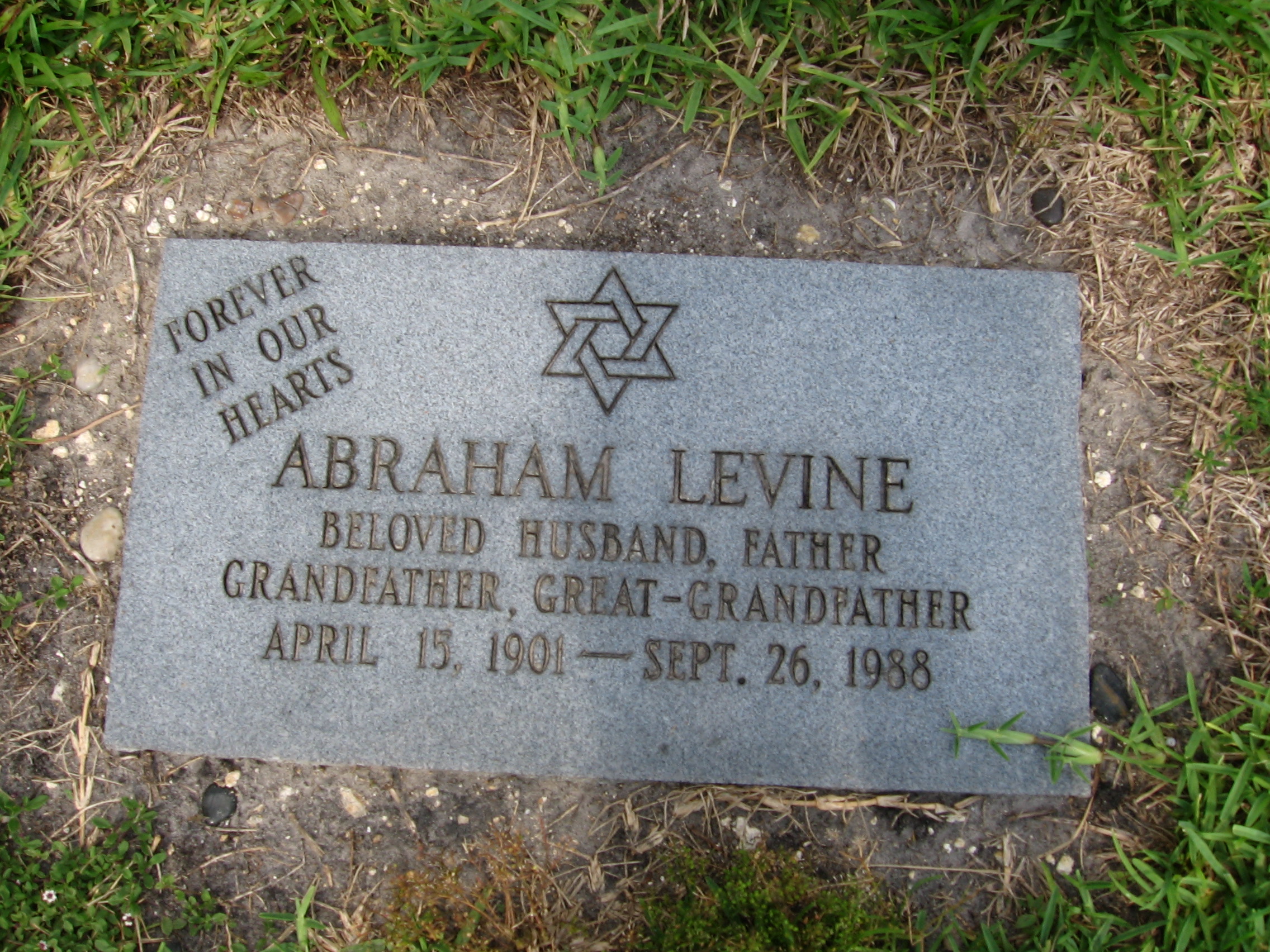 Abraham Levine
