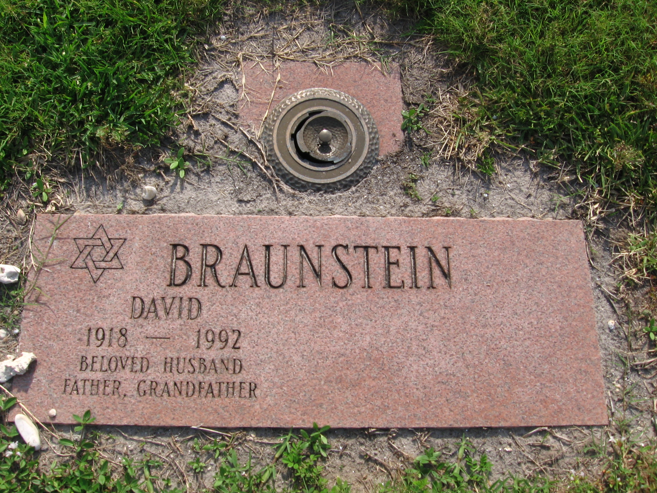 David Braunstein
