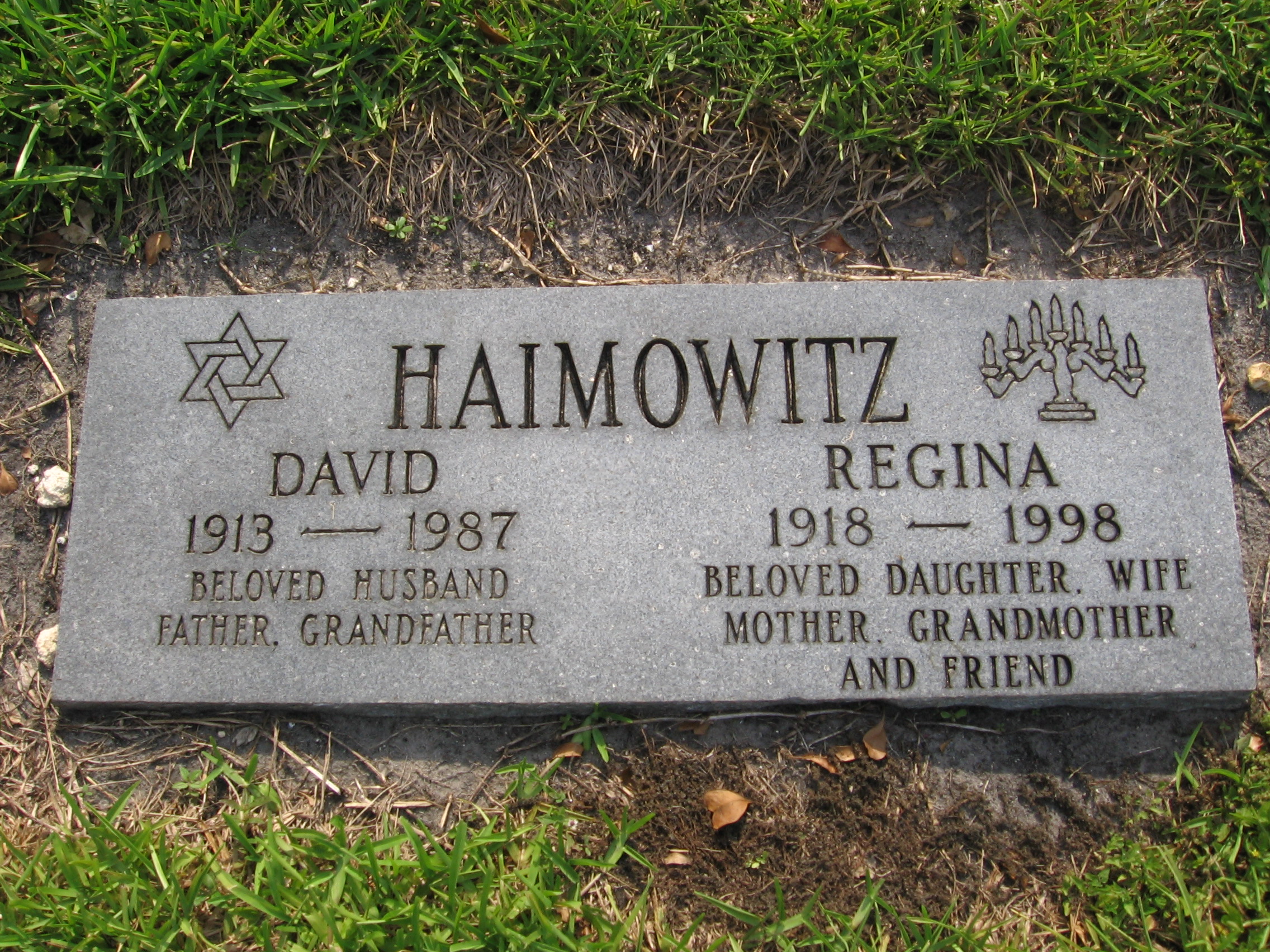David Haimowitz