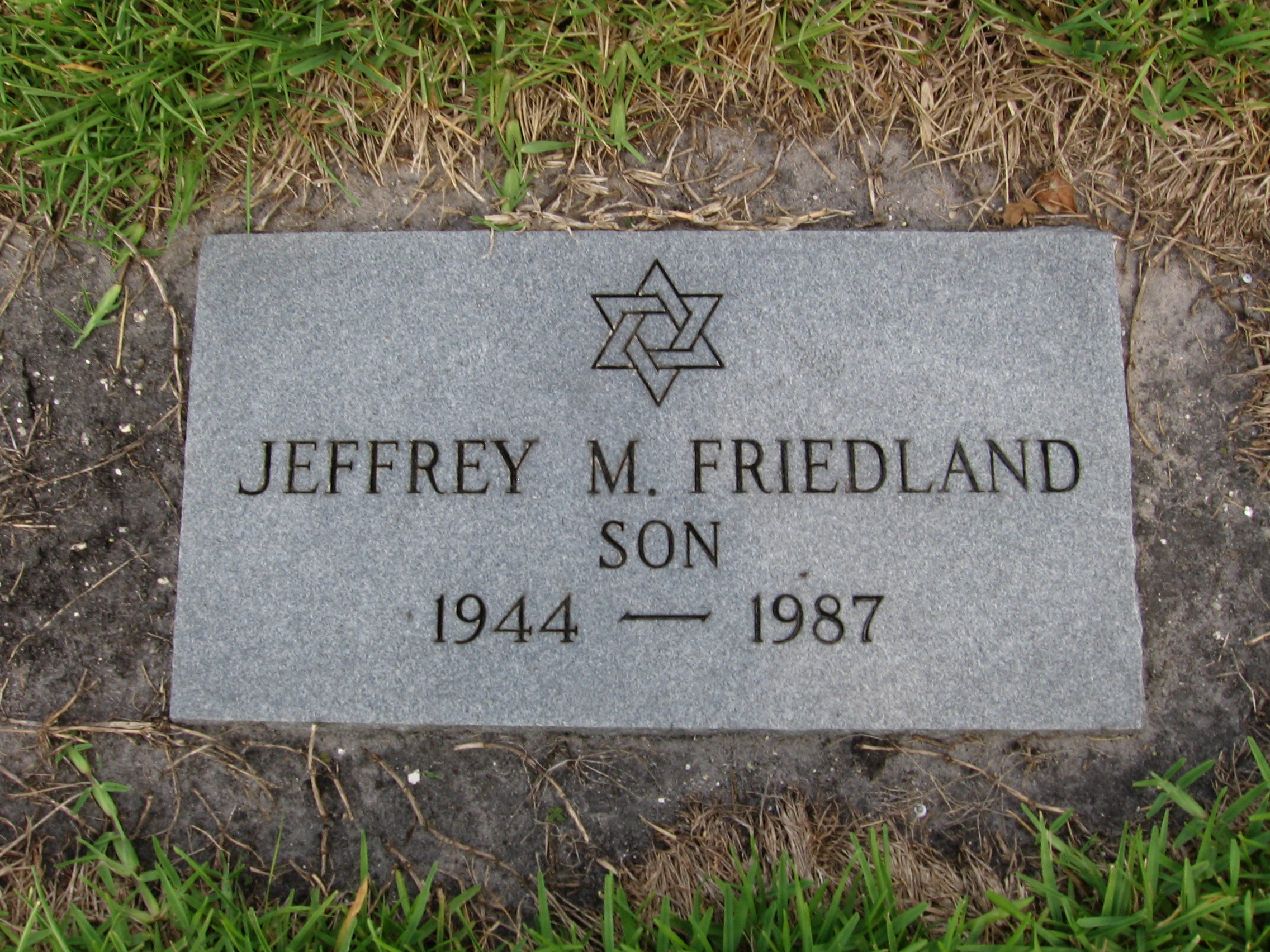 Jeffrey M Friedland