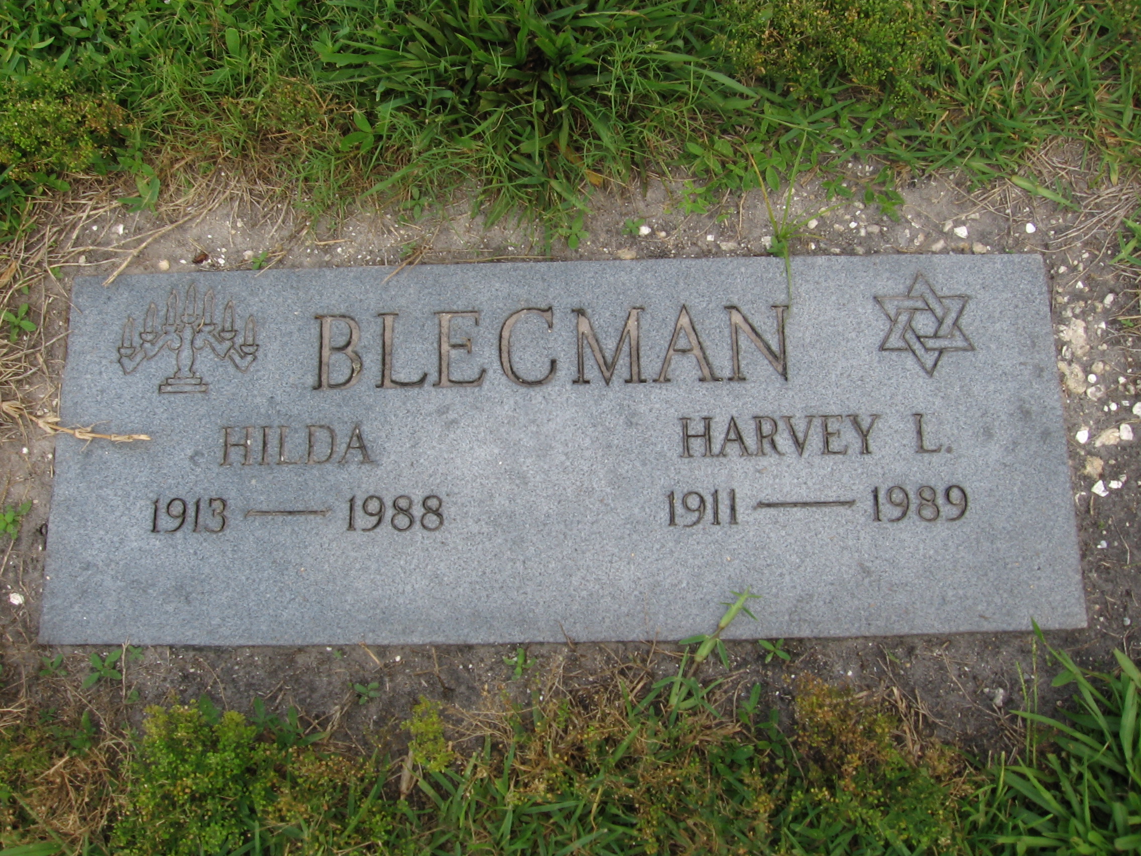Harvey L Blecman
