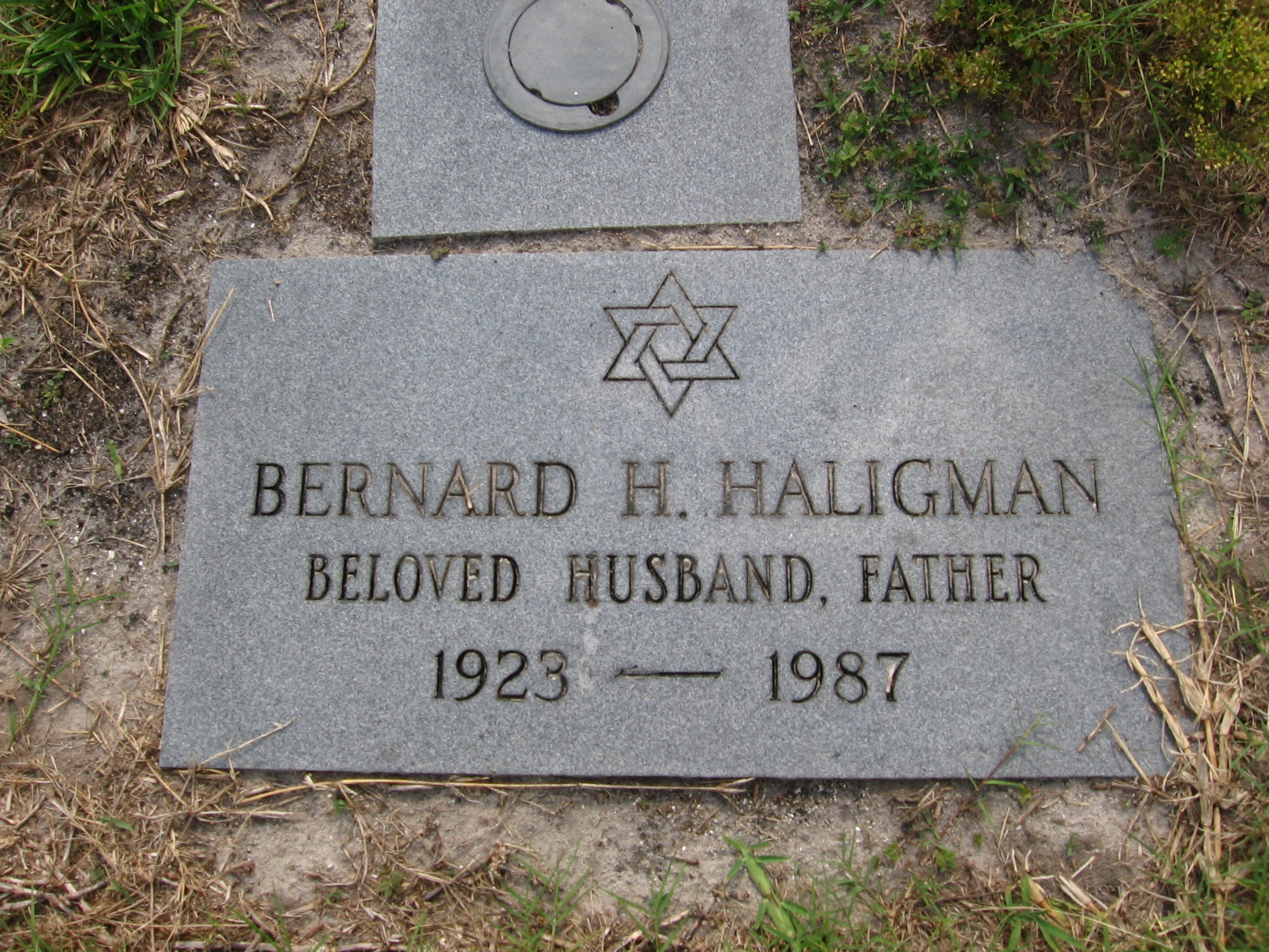 Bernard H Haligman
