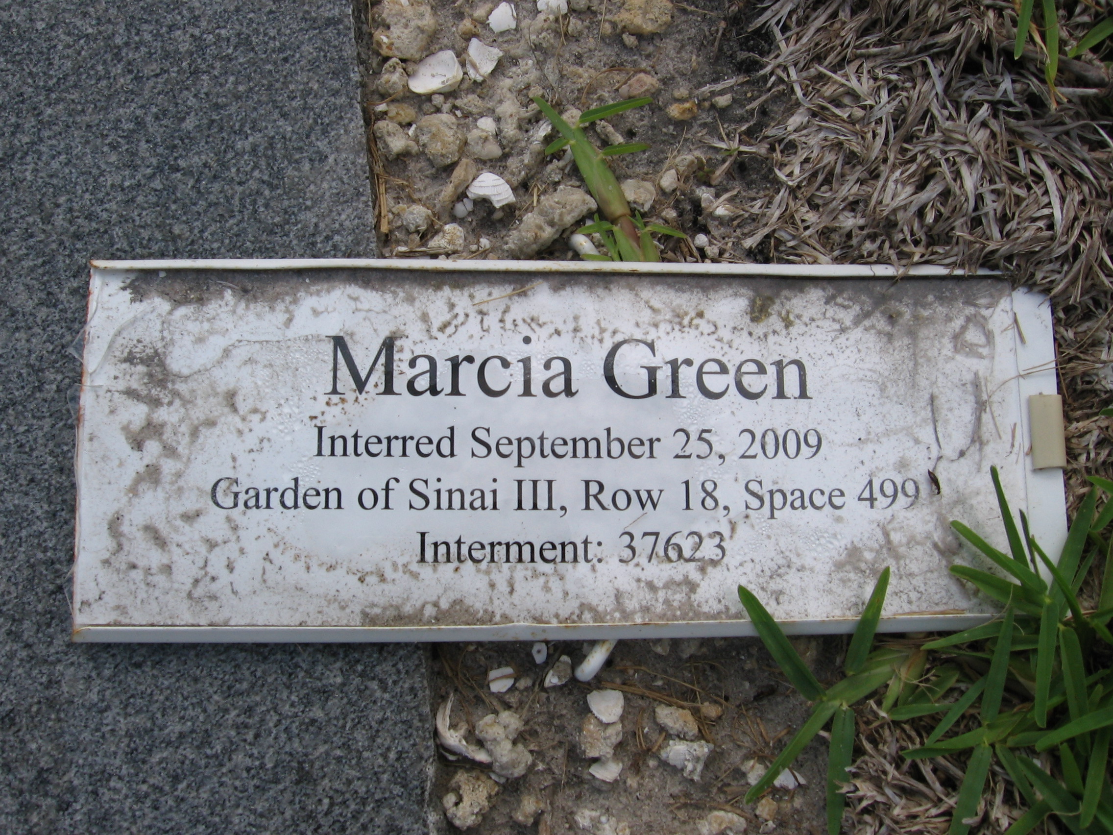 Marcia Green