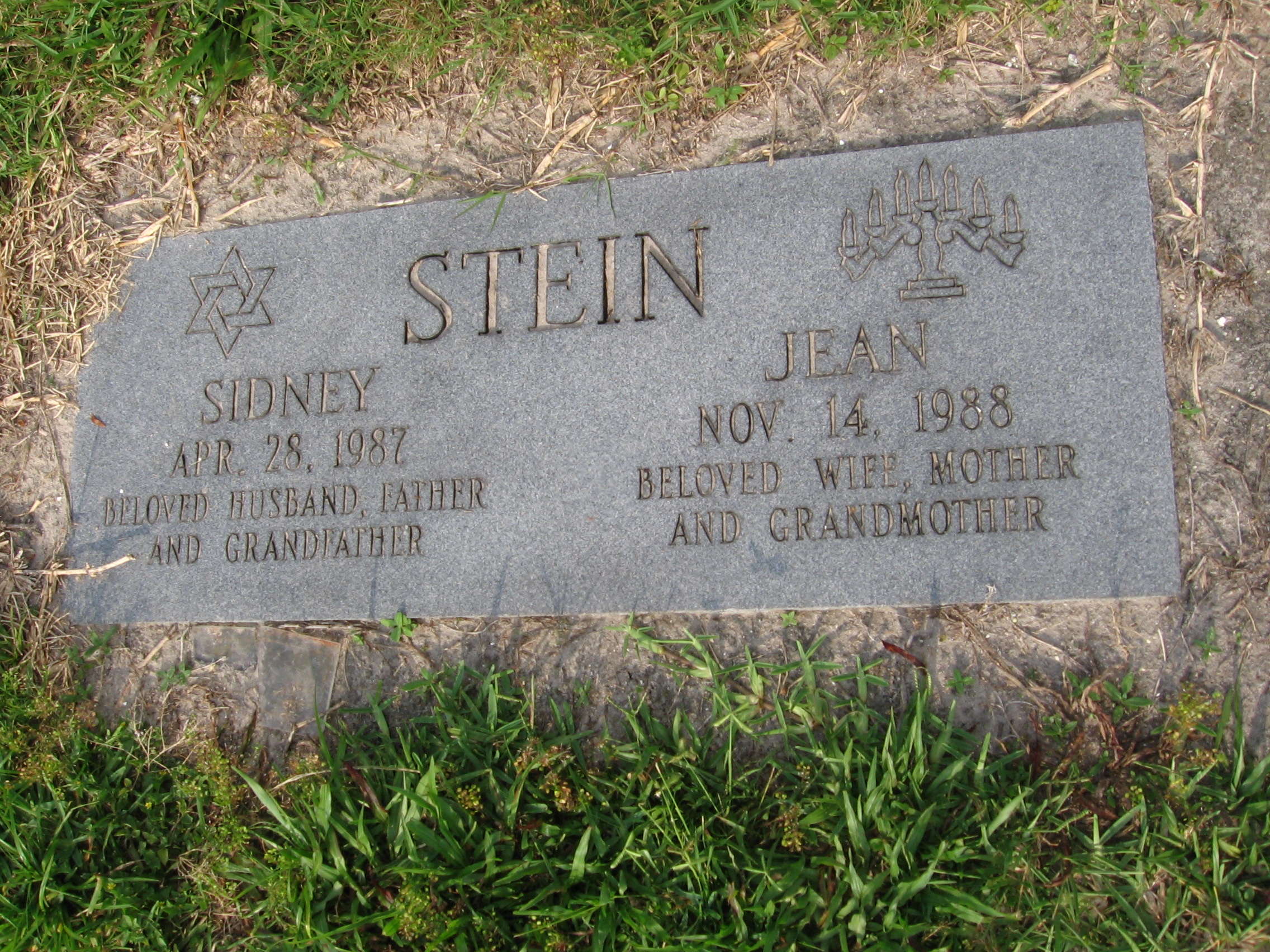 Jean Stein