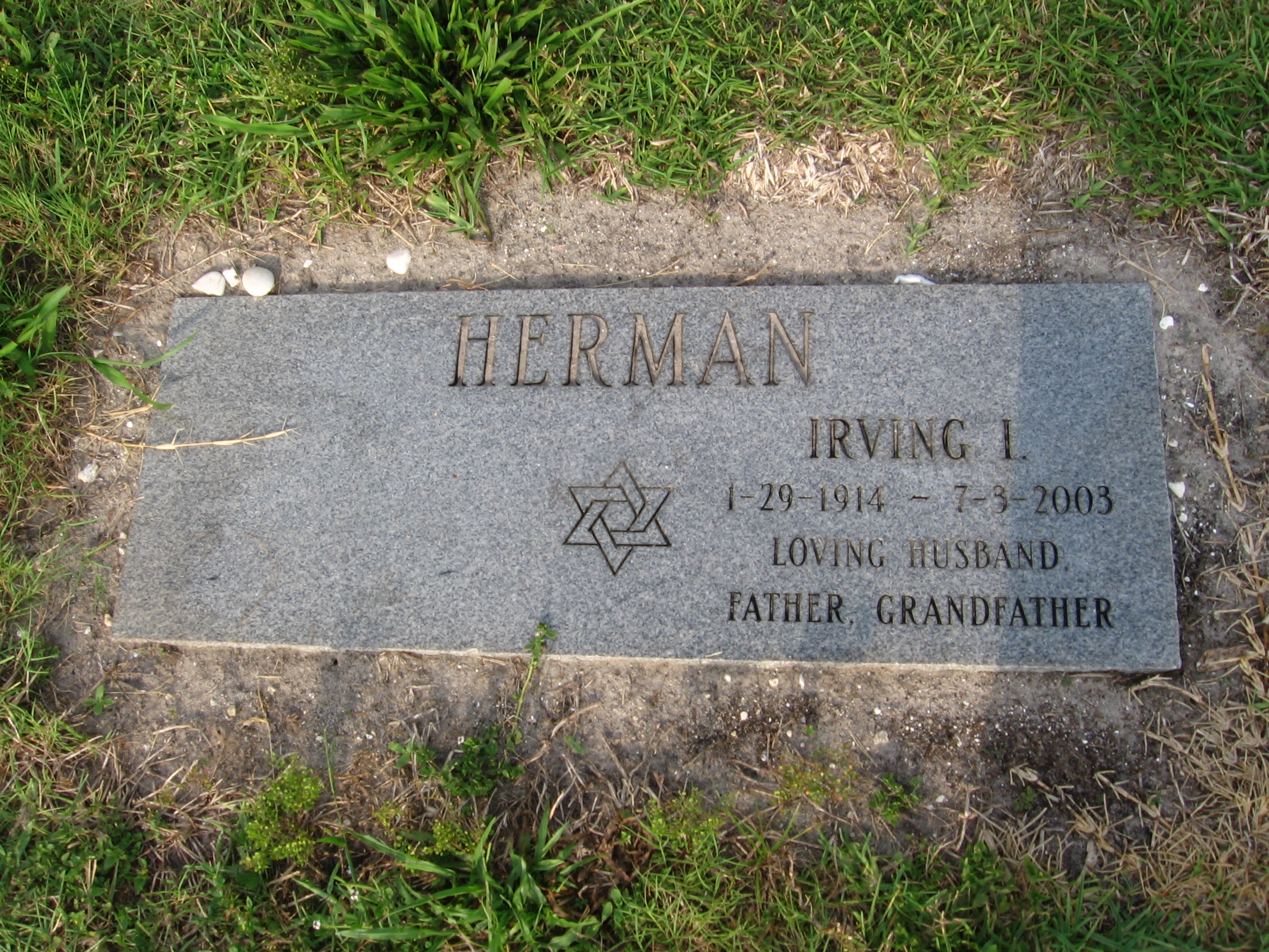 Irving I Herman