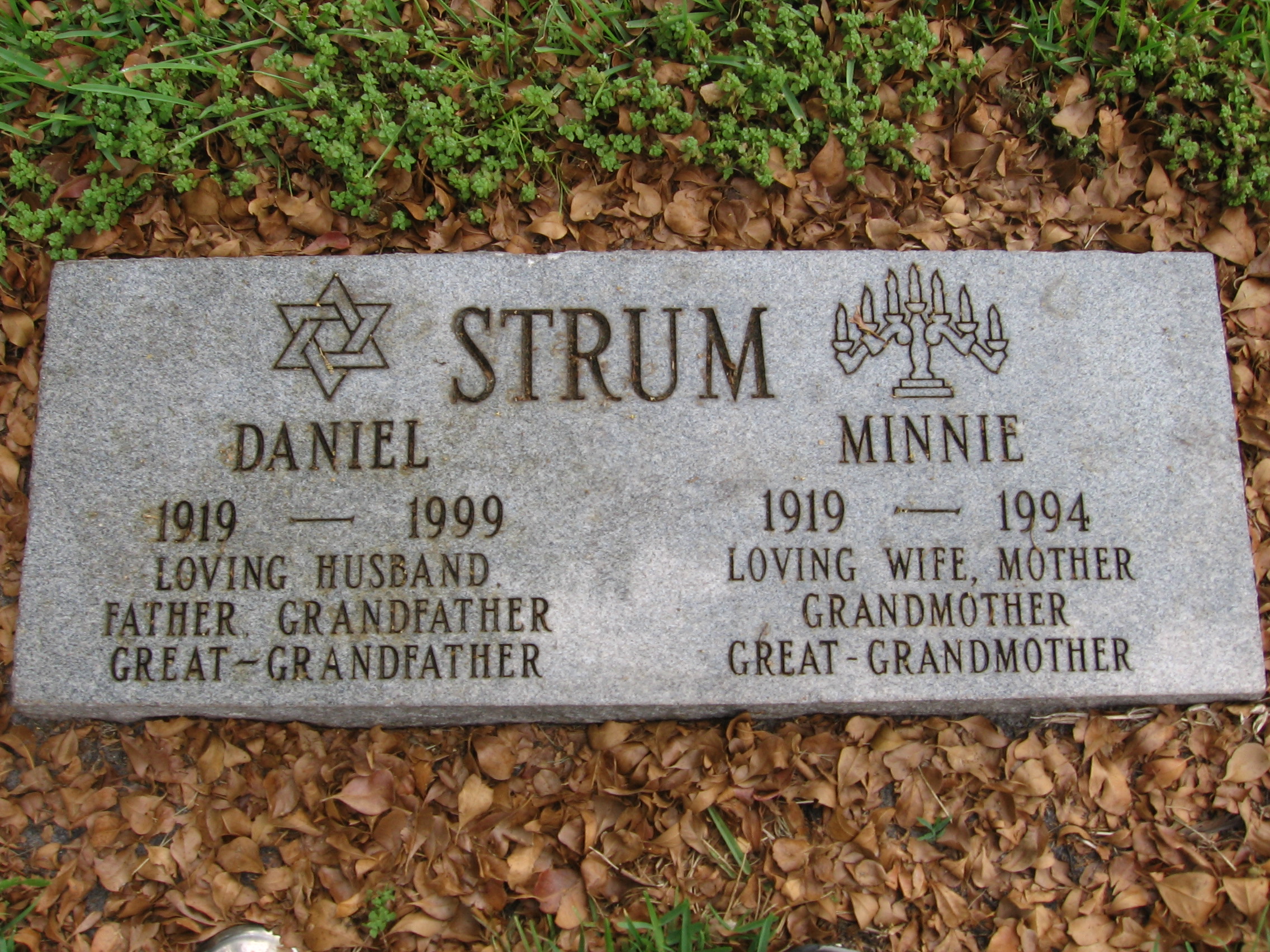 Daniel Strum