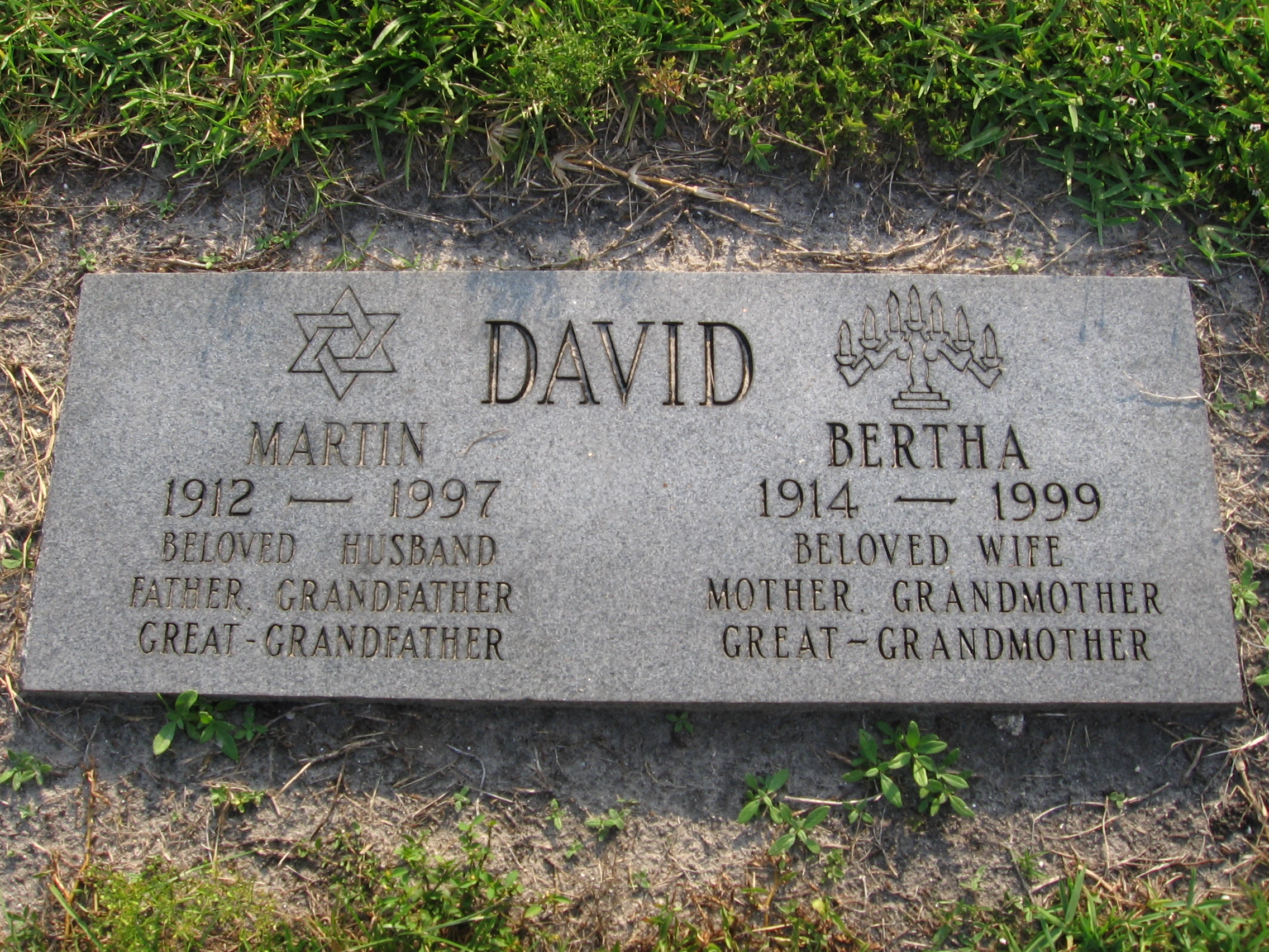 Bertha David