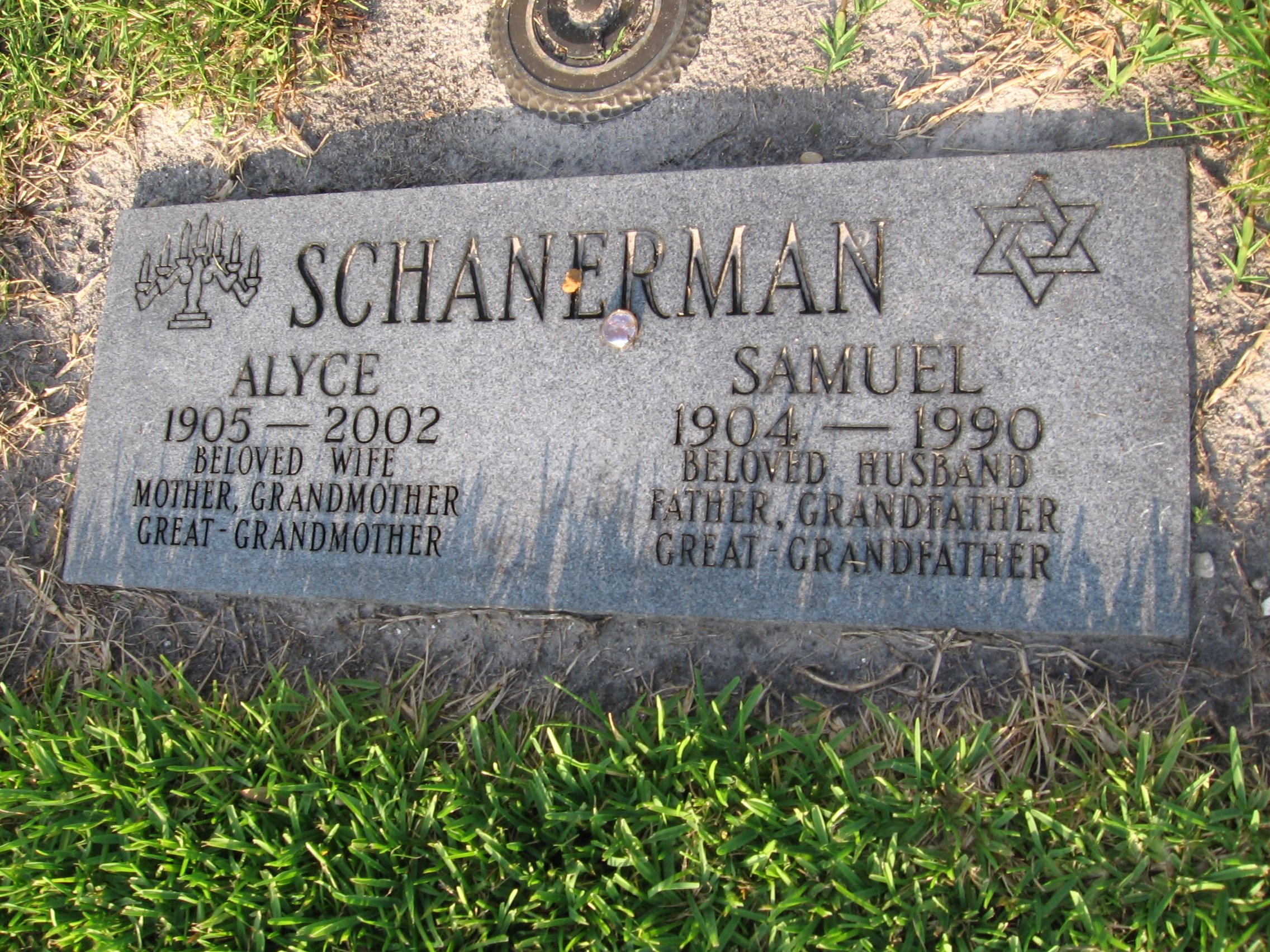 Alyce Schanerman