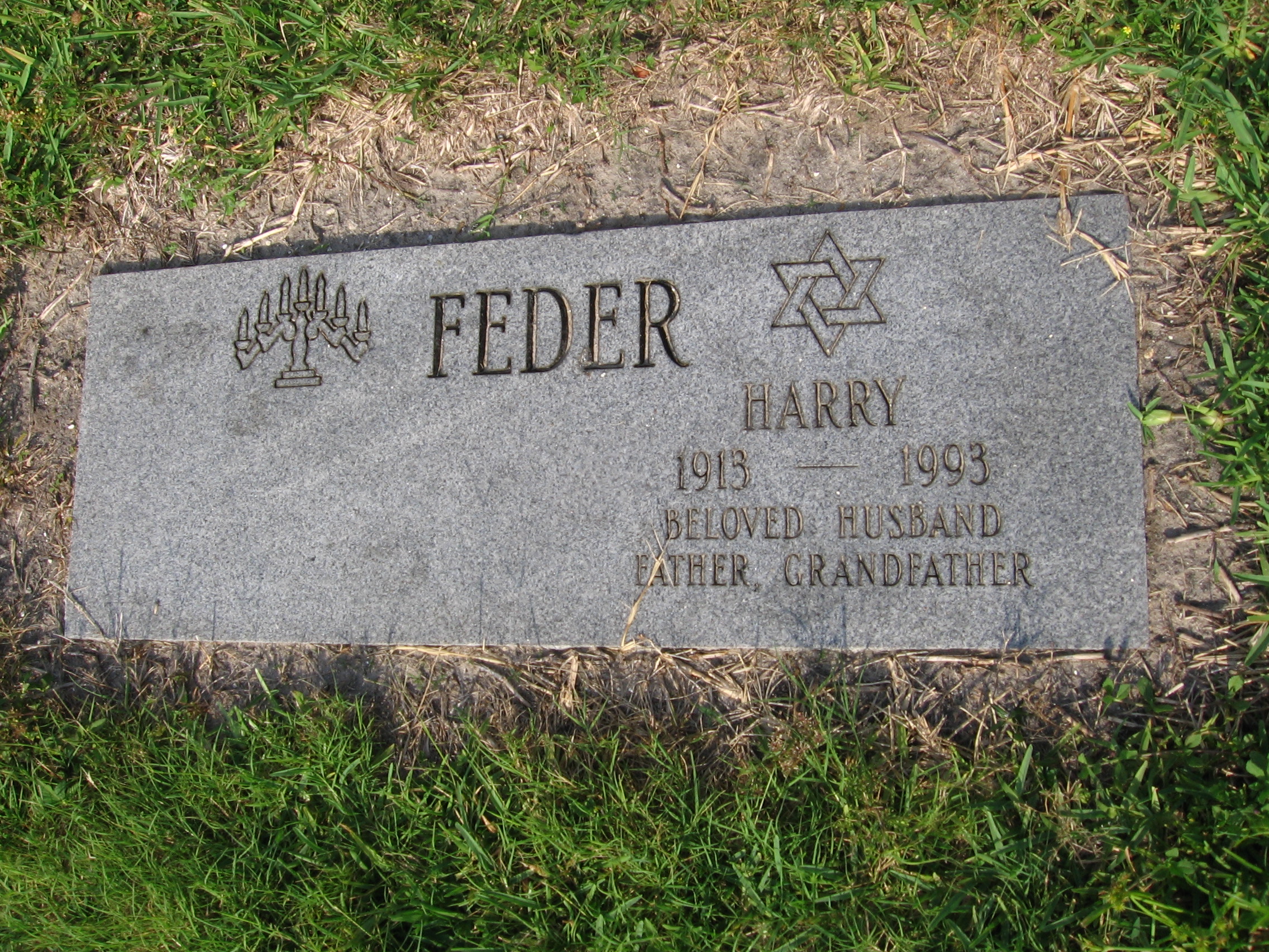 Harry Feder