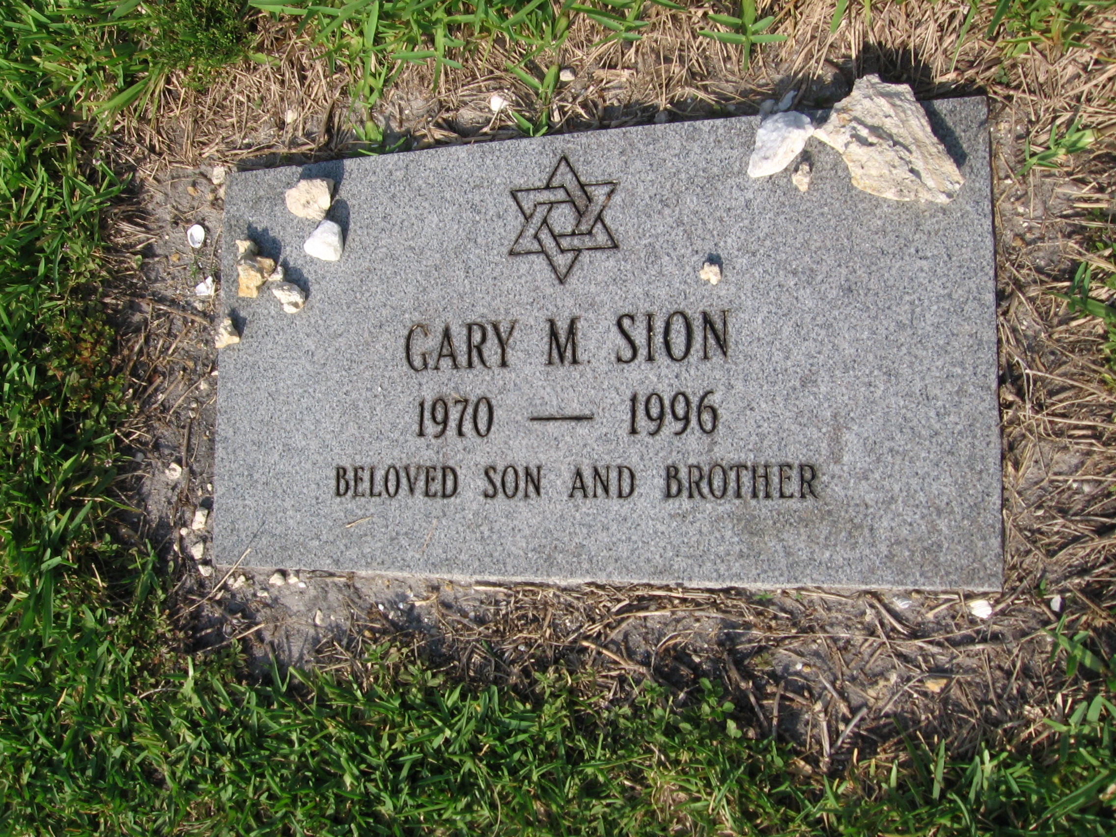 Gary M Sion