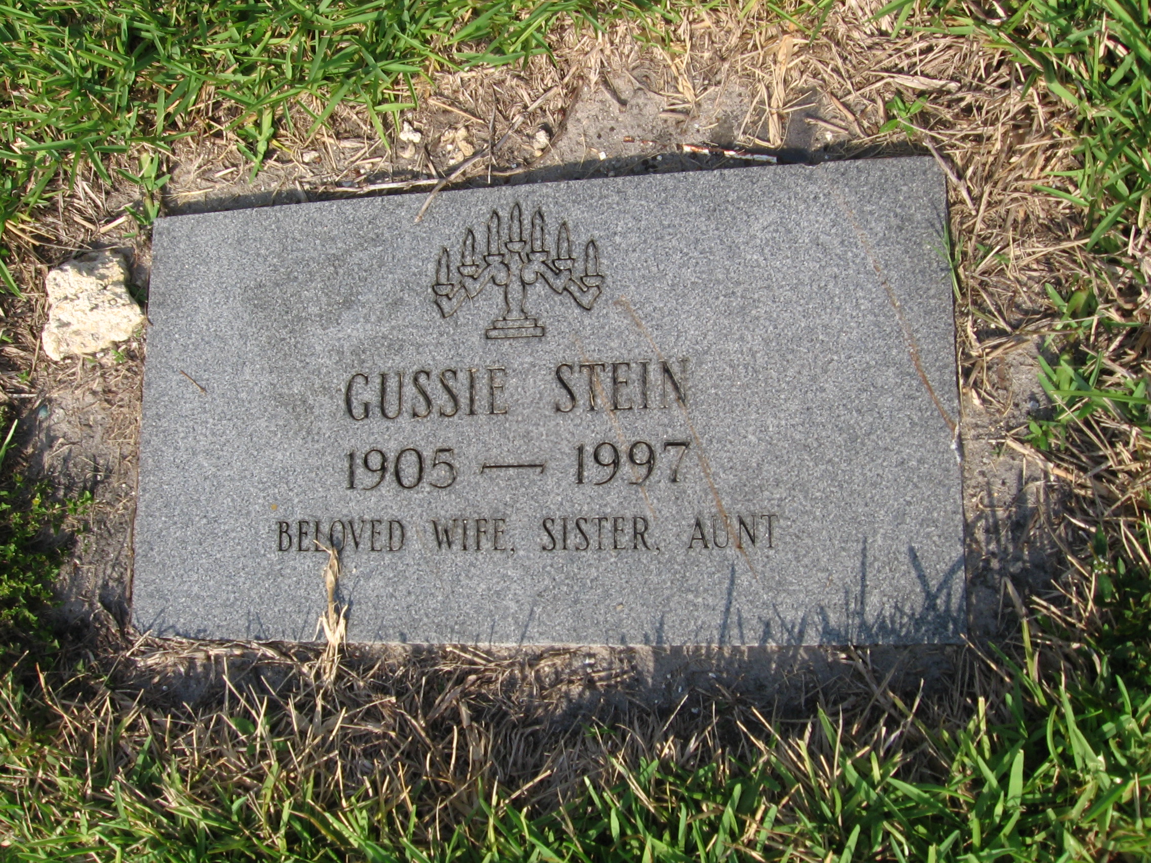 Gussie Stein