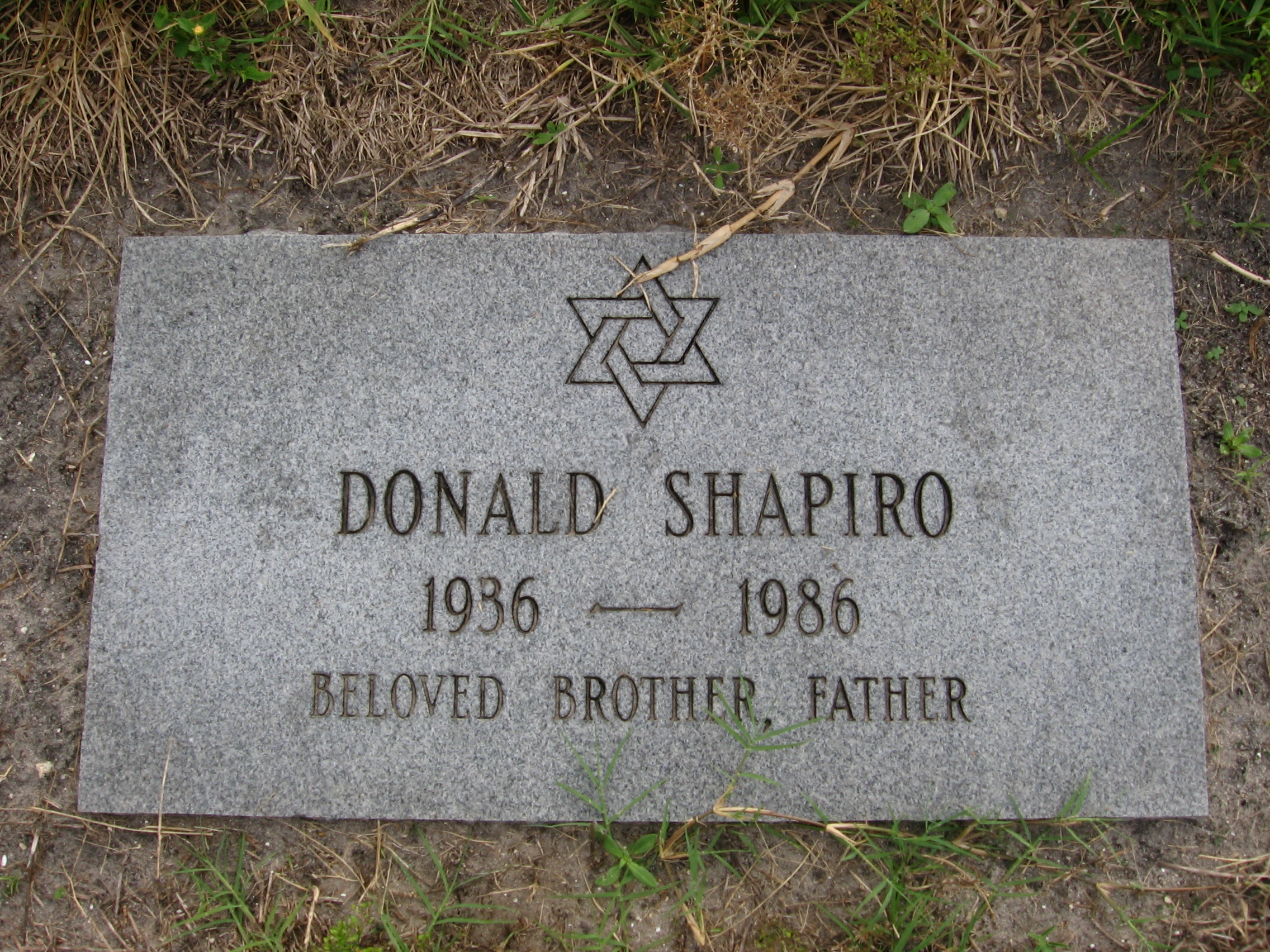 Donald Shapiro