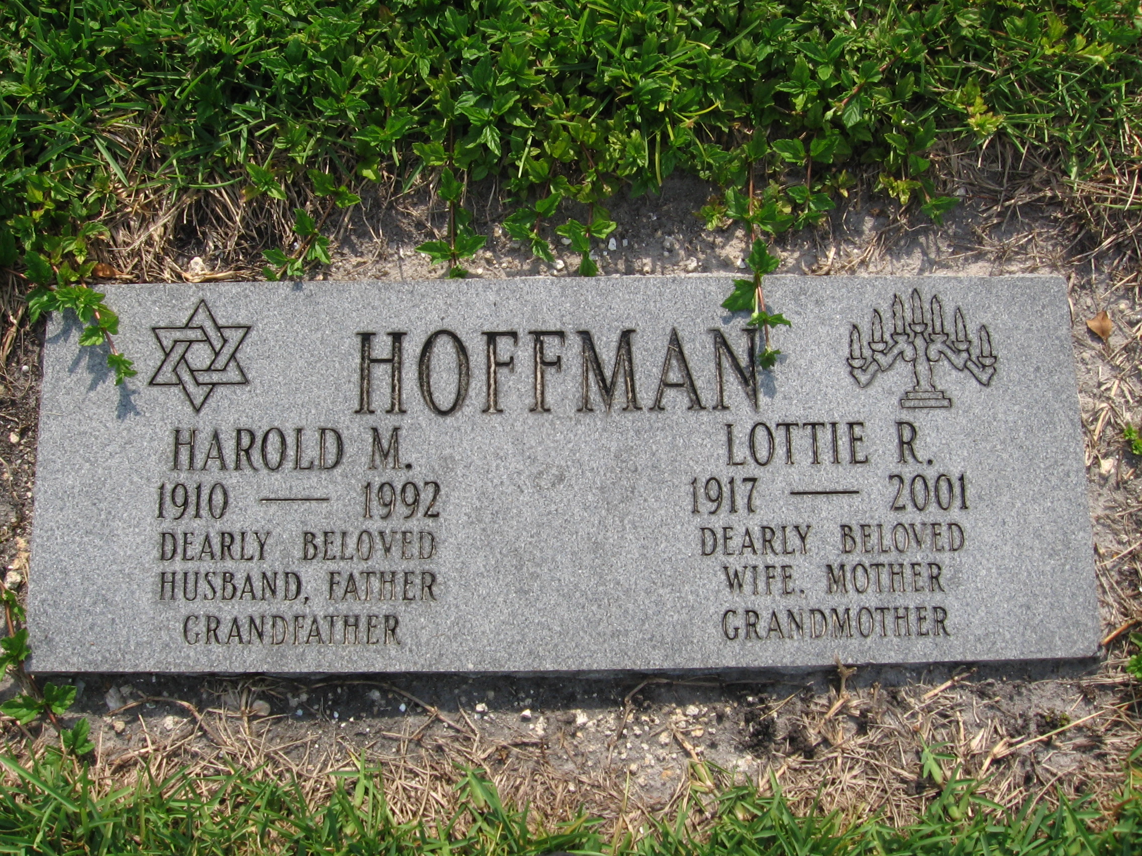 Harold M Hoffman