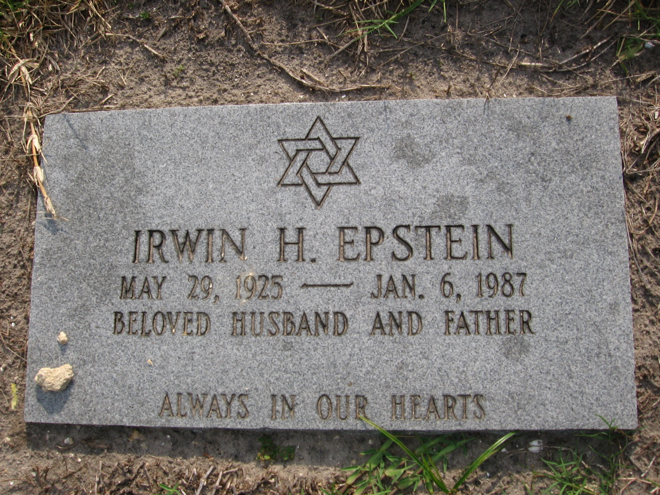 Irwin H Epstein