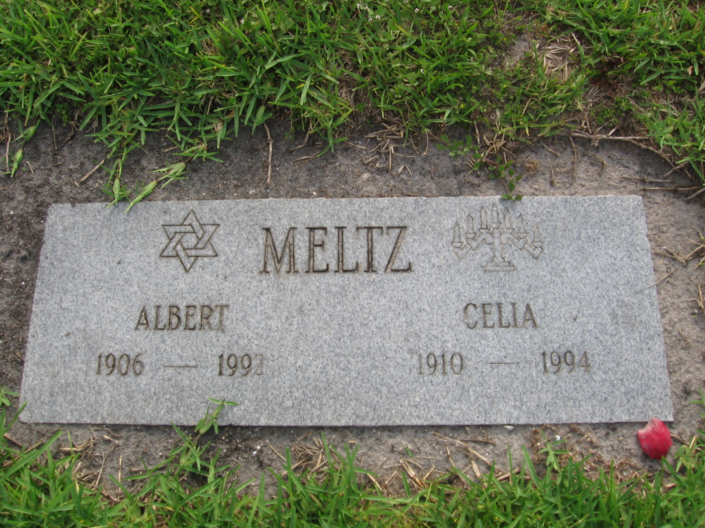 Albert Meltz