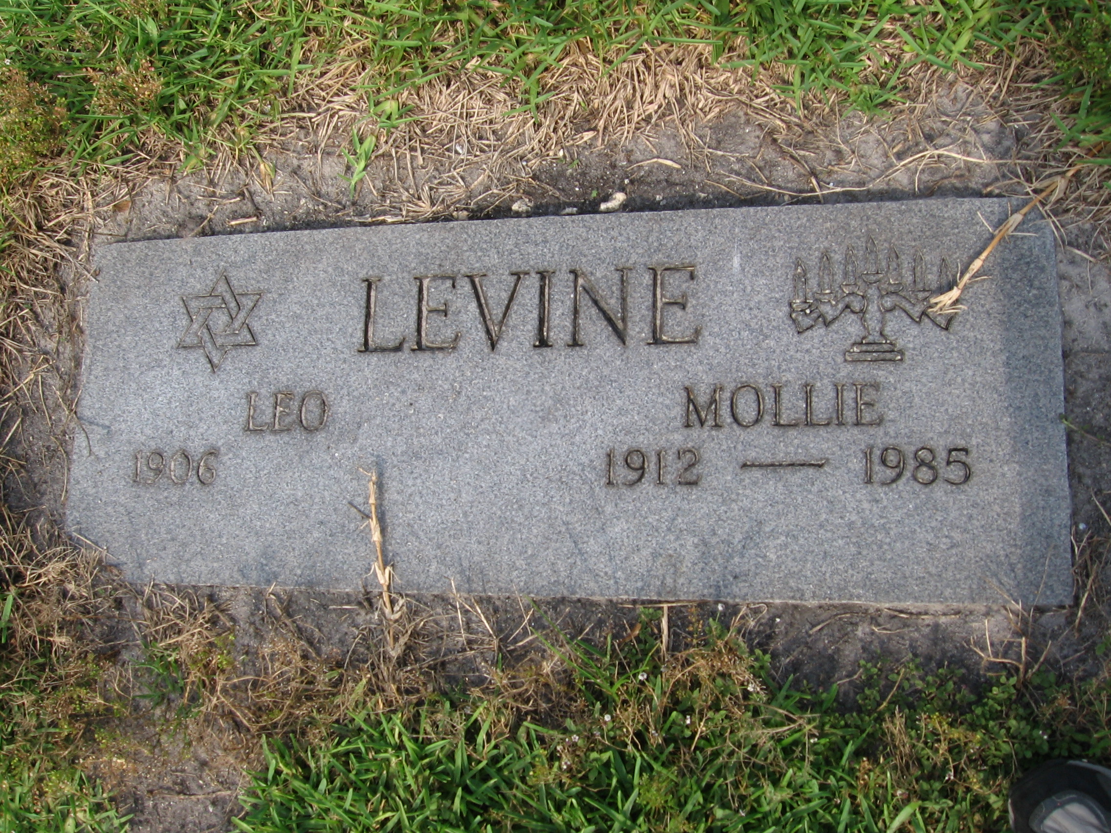Mollie Levine