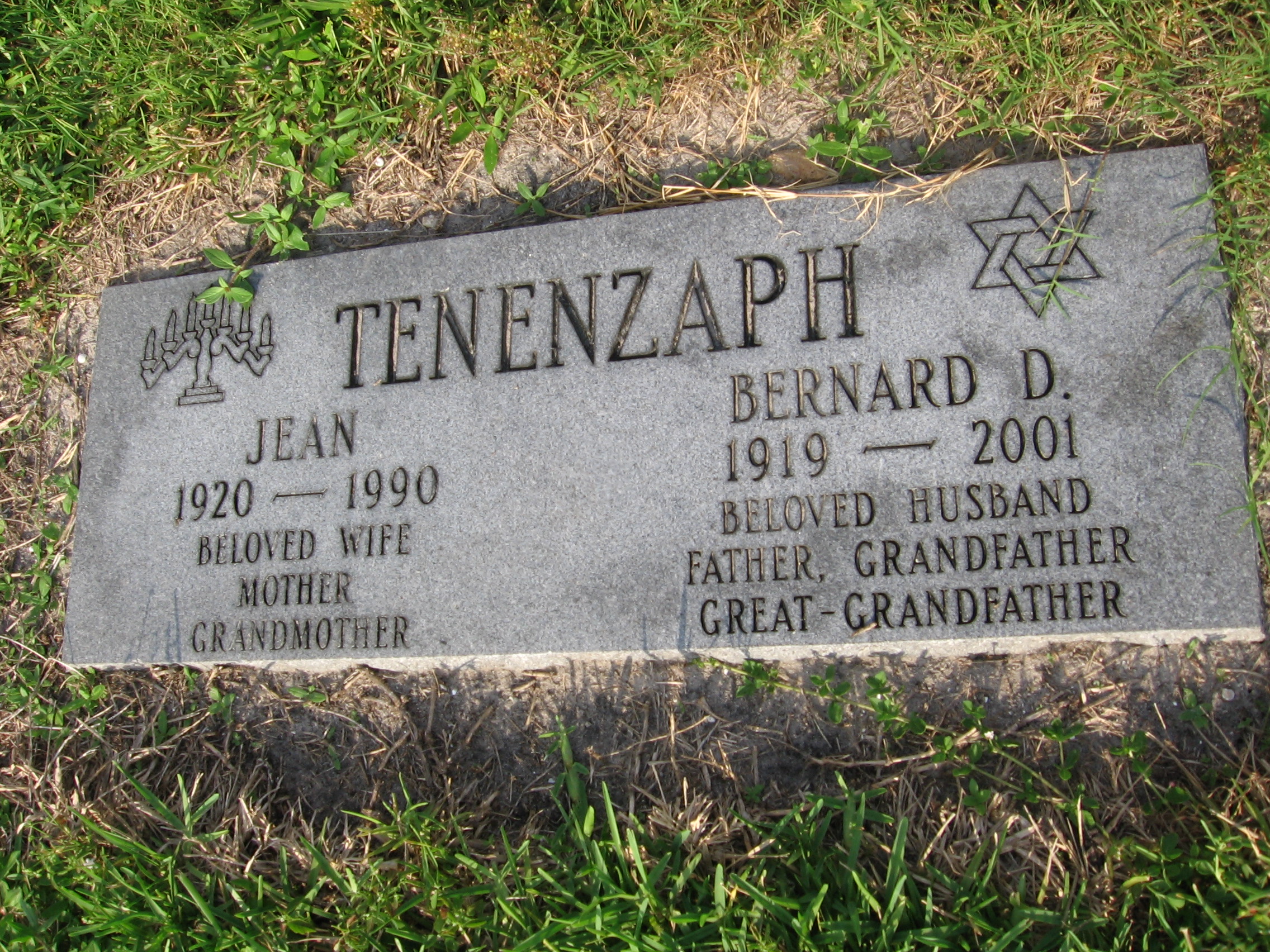 Bernard D Tenenzaph