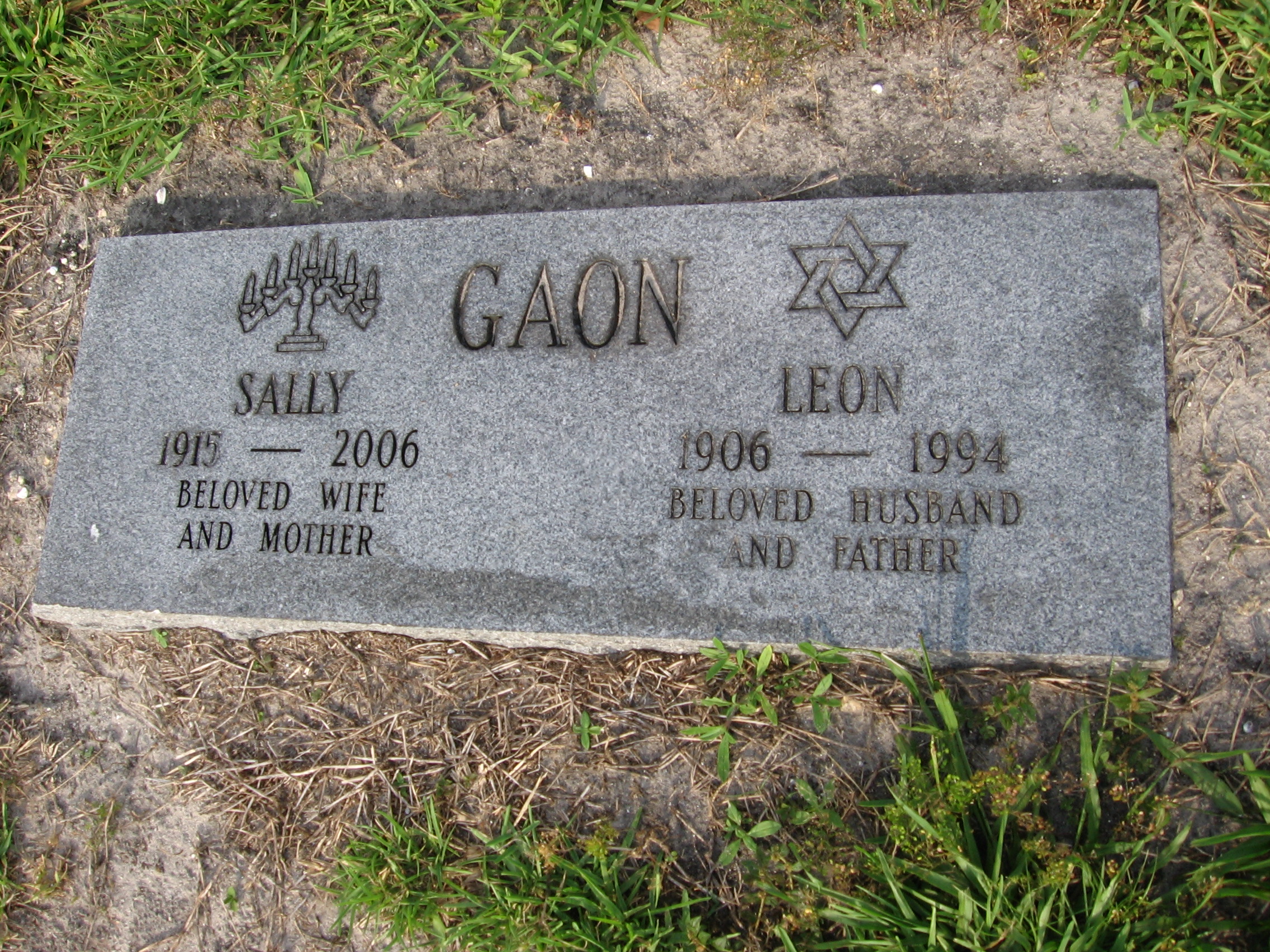 Leon Gaon