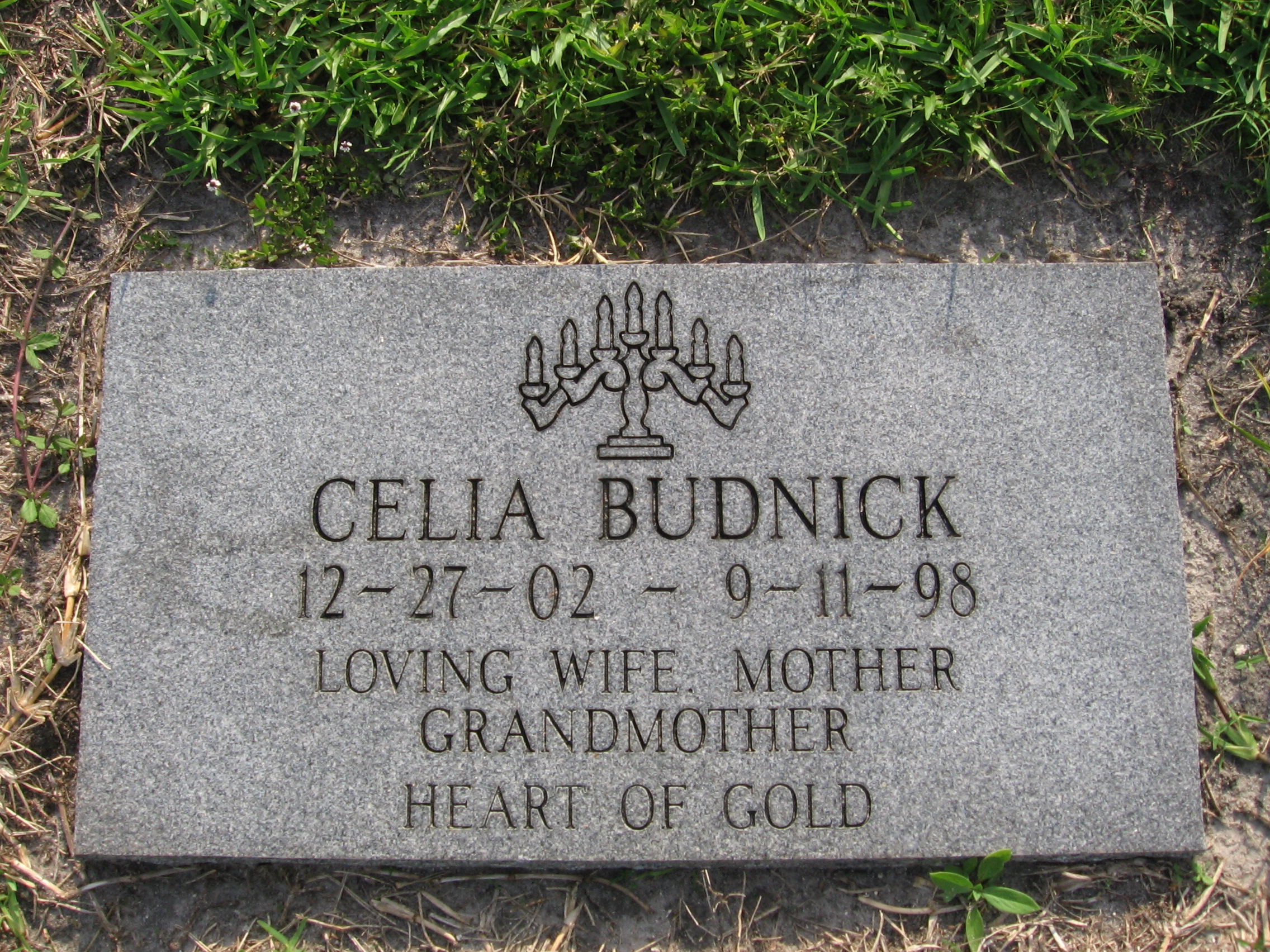 Celia Budnick