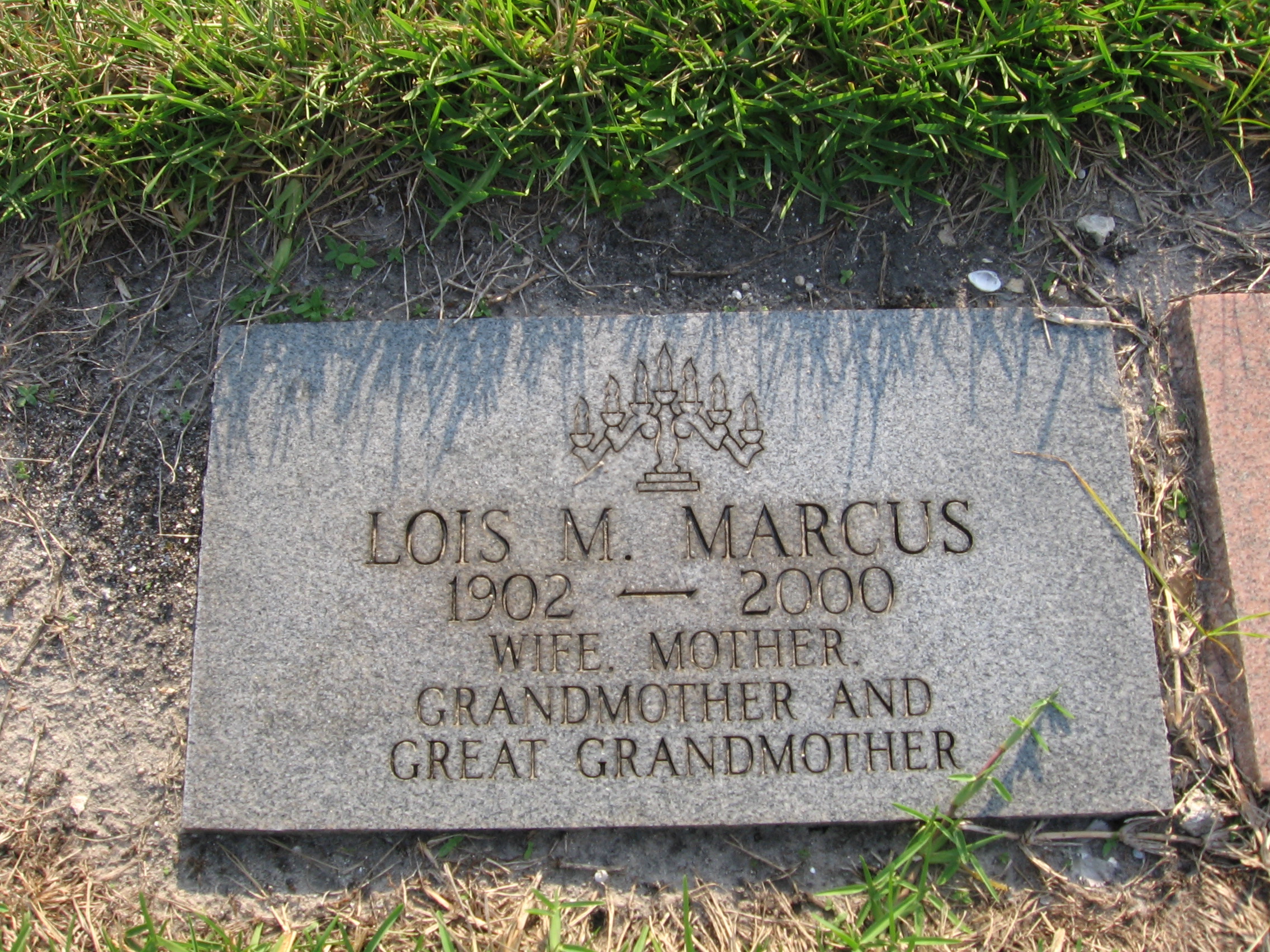Louis M Marcus