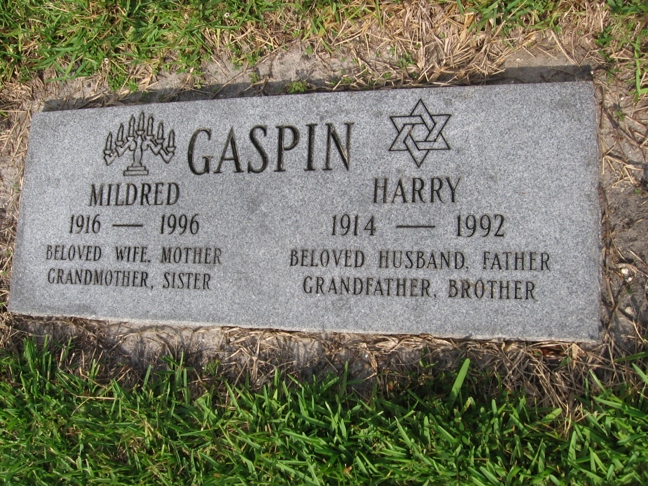 Harry Gaspin