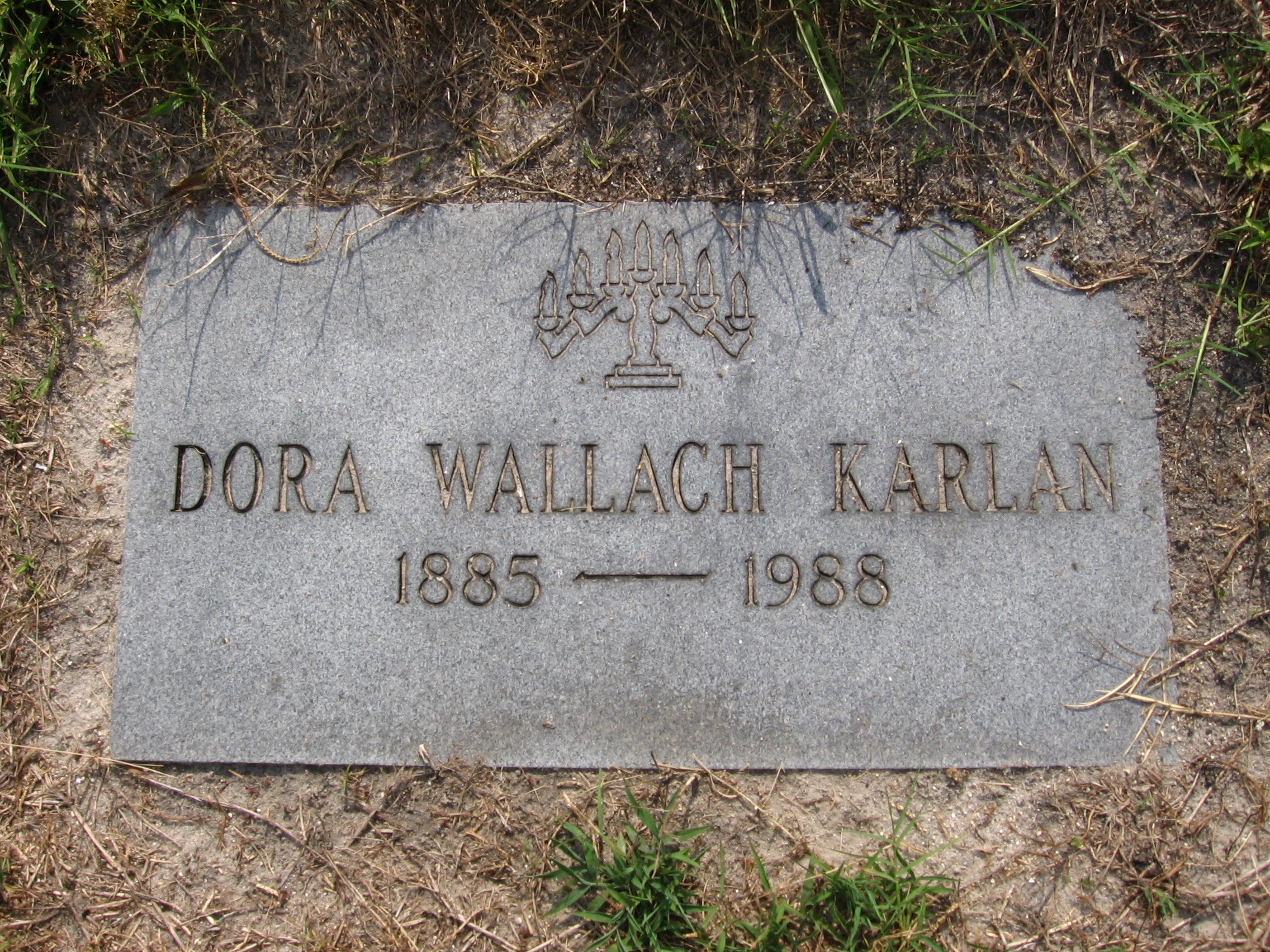 Dora Wallach Karlan