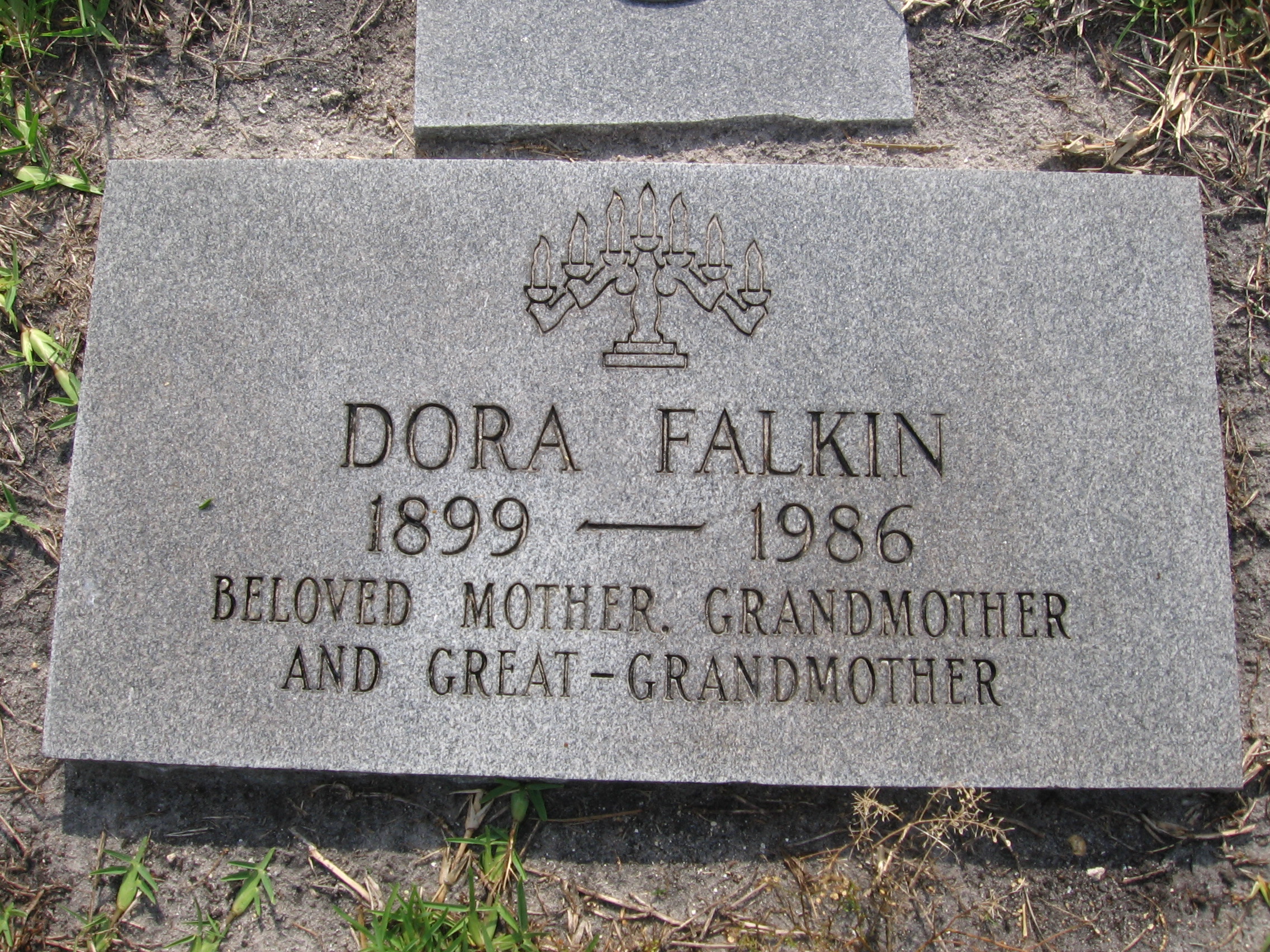 Dora Falkin