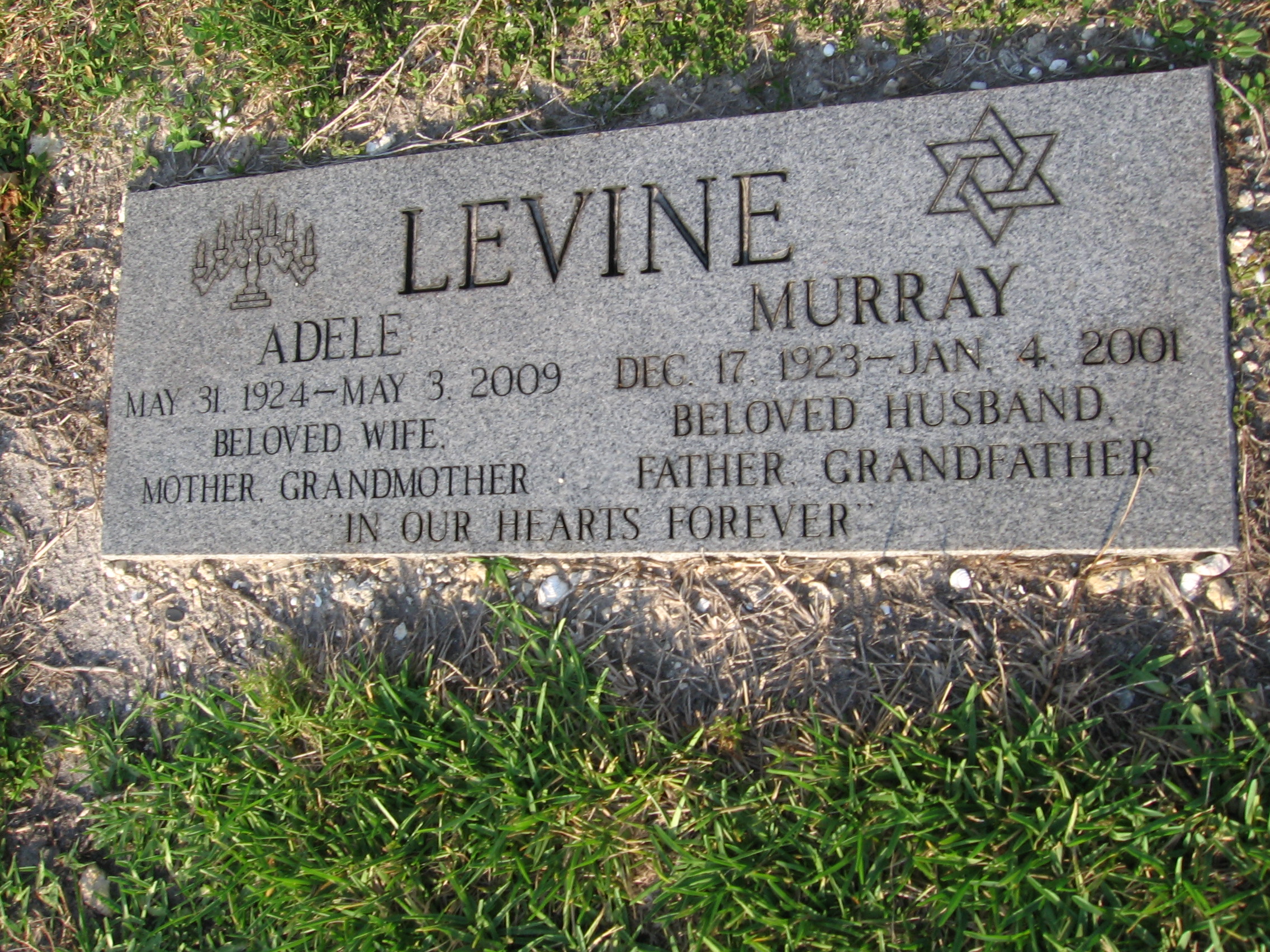 Adele Levine