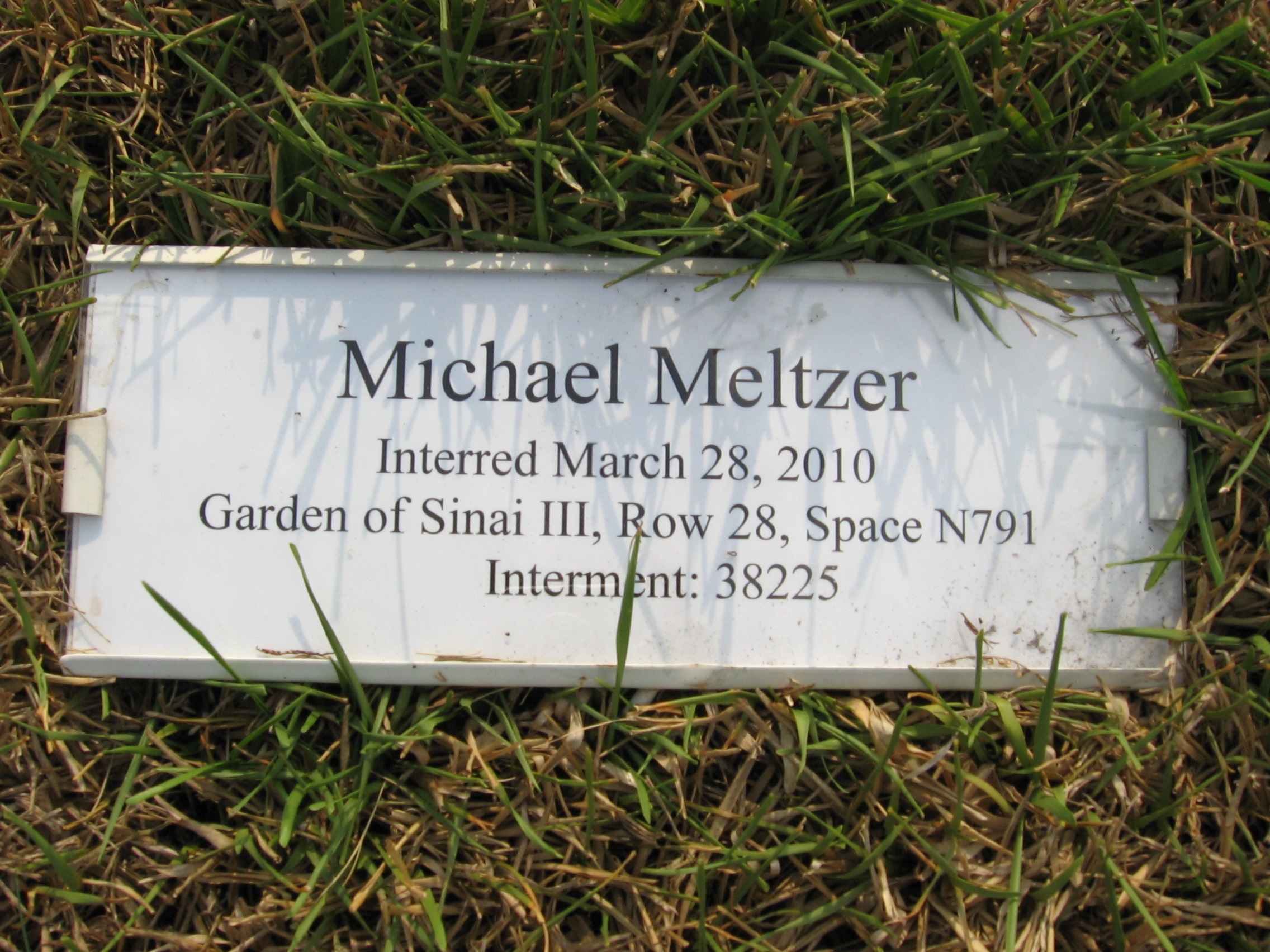 Michael Meltzer