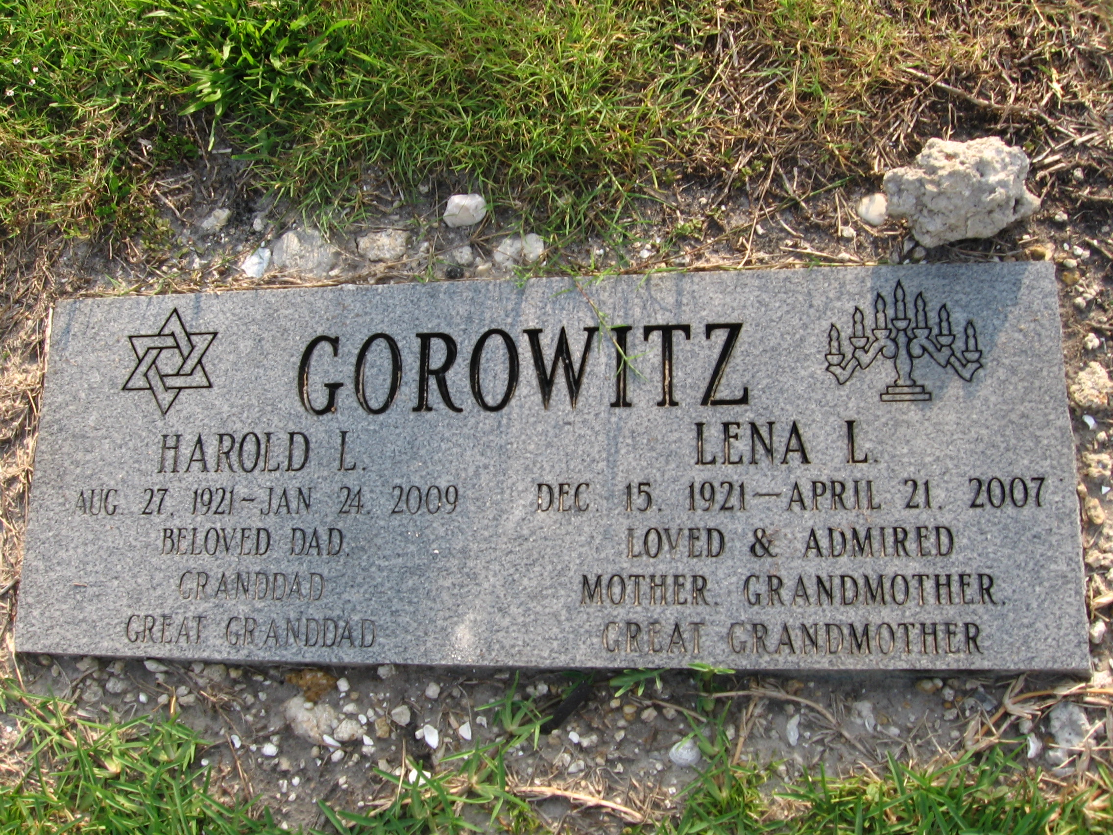 Lena L Gorowitz