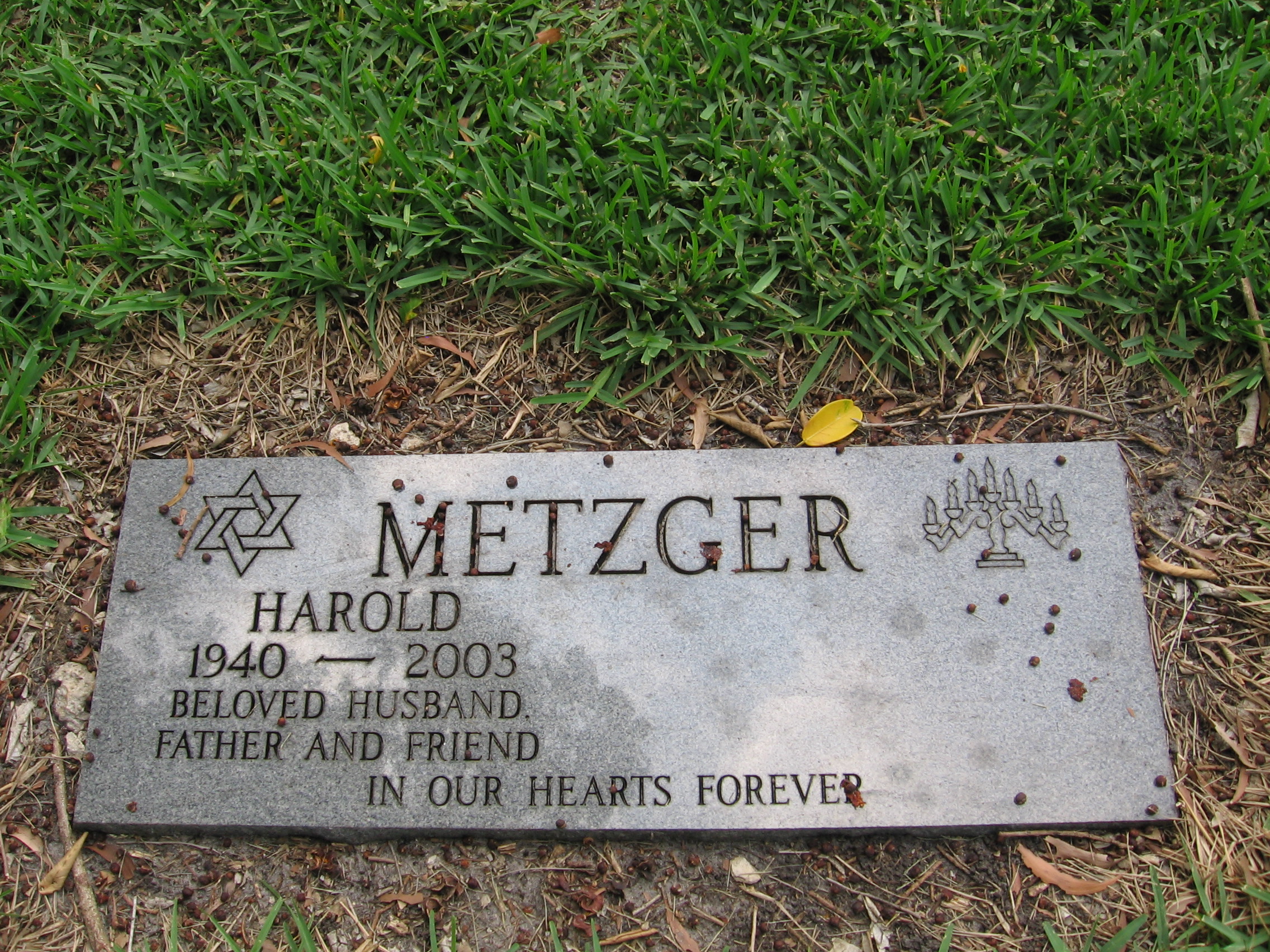 Harold Metzger