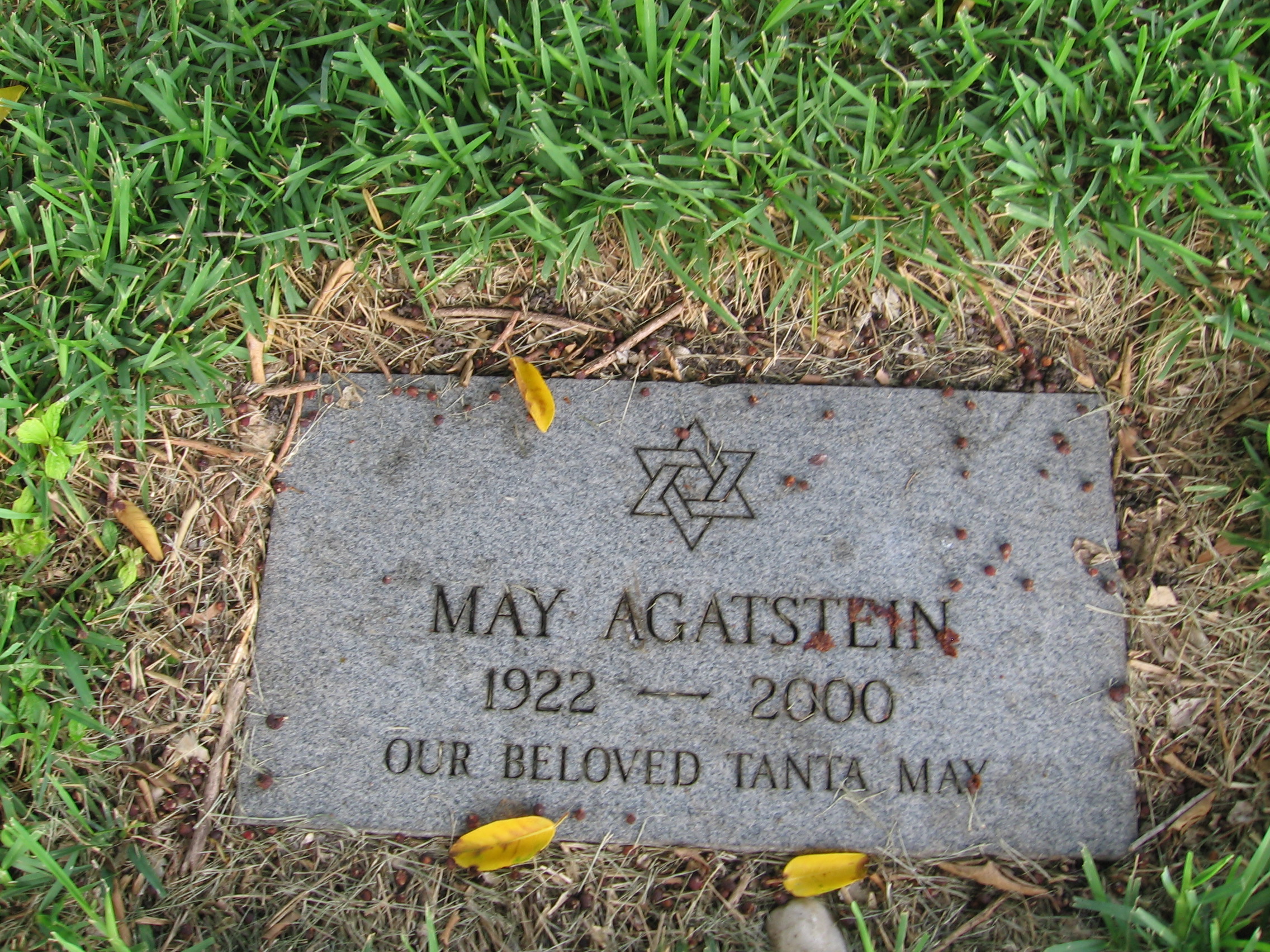 May Agatstein