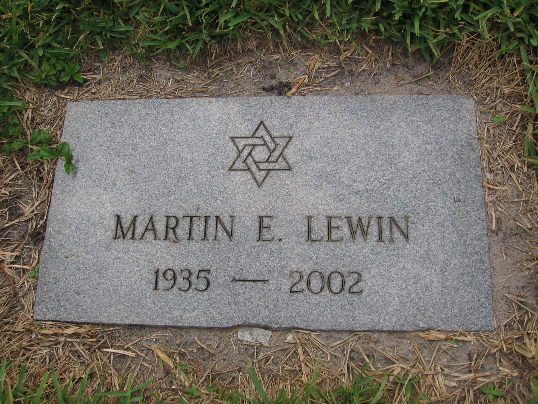 Martin E Lewin